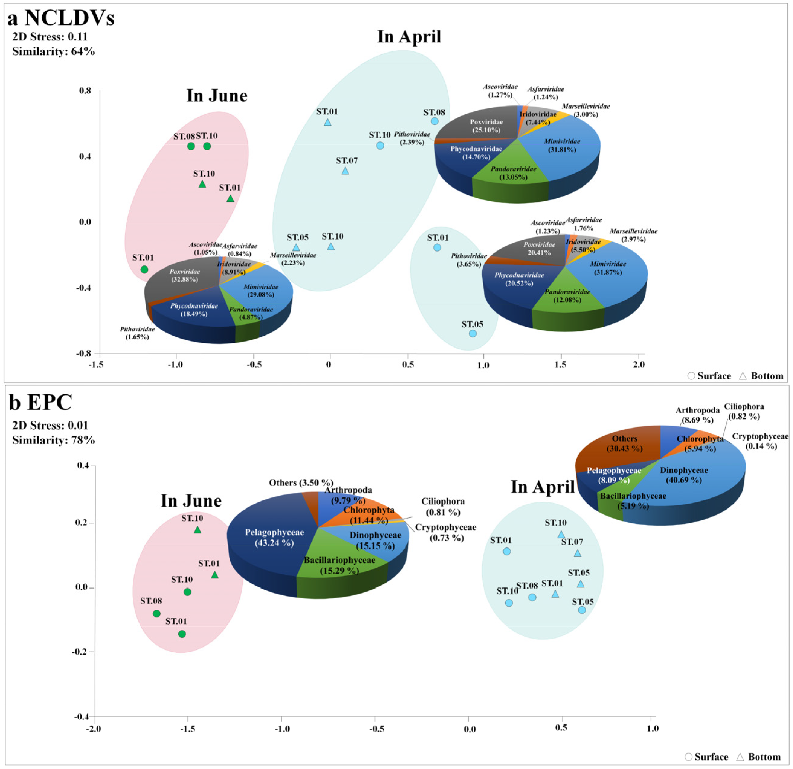Microorganisms 11 00169 g003