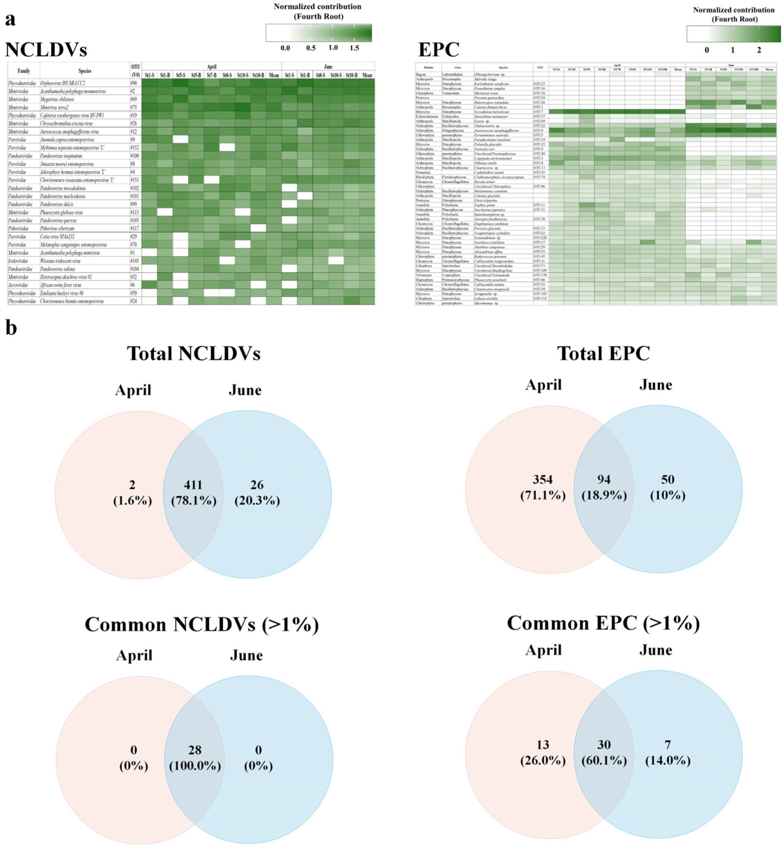 Microorganisms 11 00169 g004