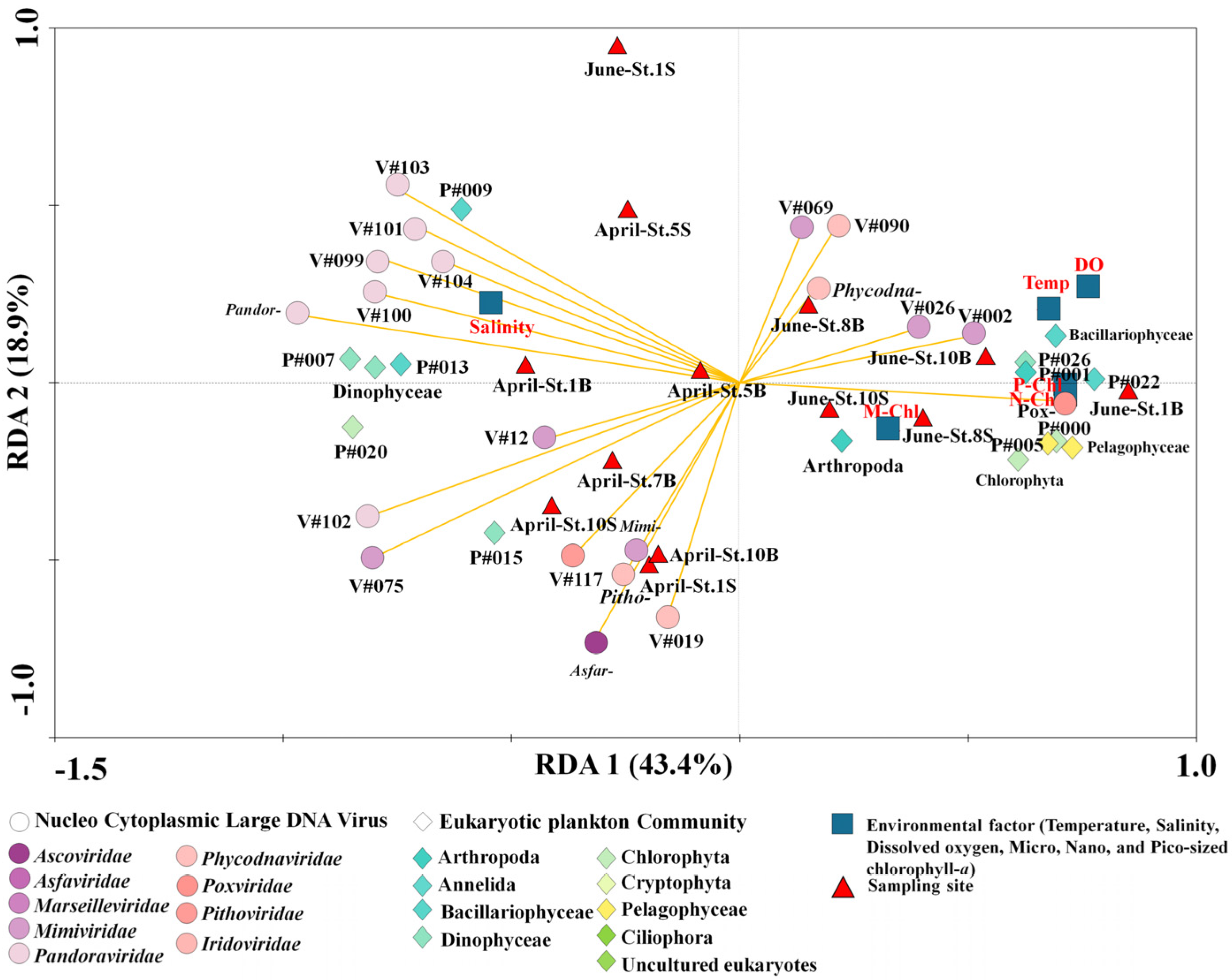 Microorganisms 11 00169 g006