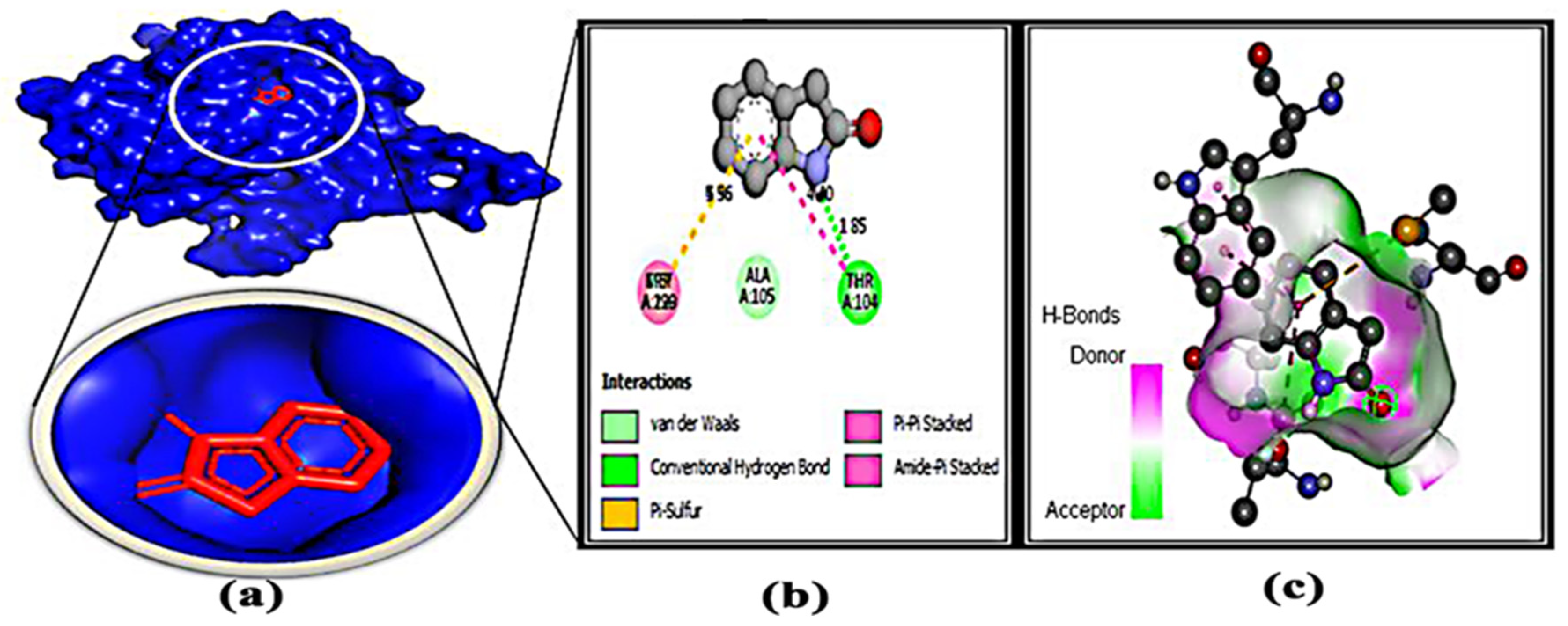 Microorganisms 11 00172 g007 Microorganisms 11 00172 g007