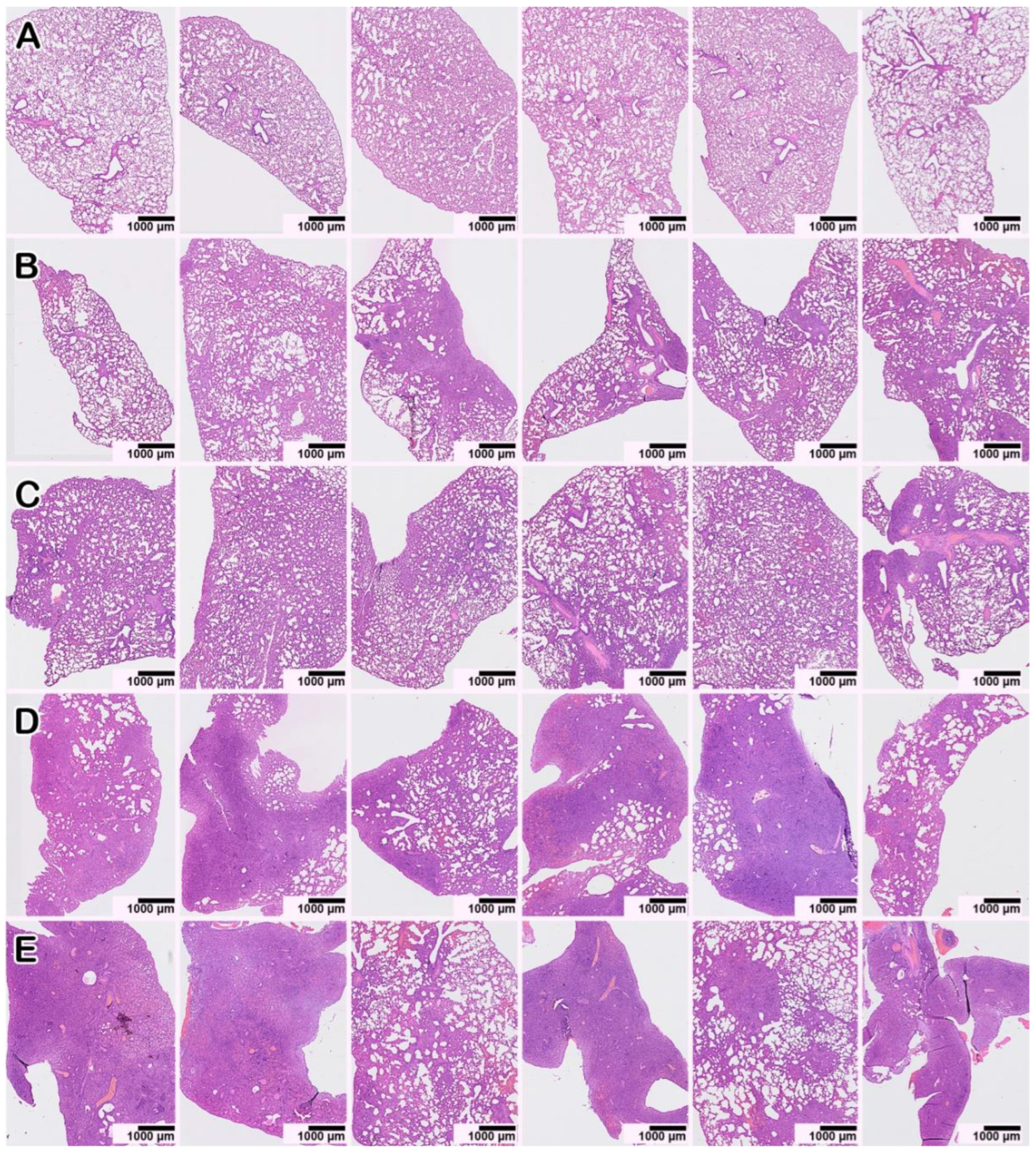 Microorganisms 11 00180 g006 Microorganisms 11 00180 g006