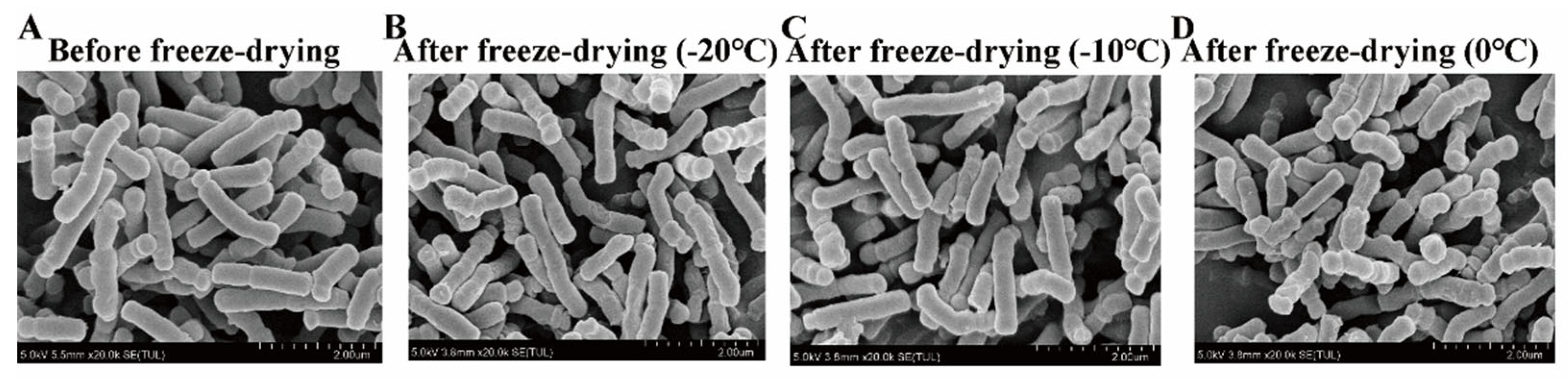 Microorganisms 11 00181 g005 Microorganisms 11 00181 g005