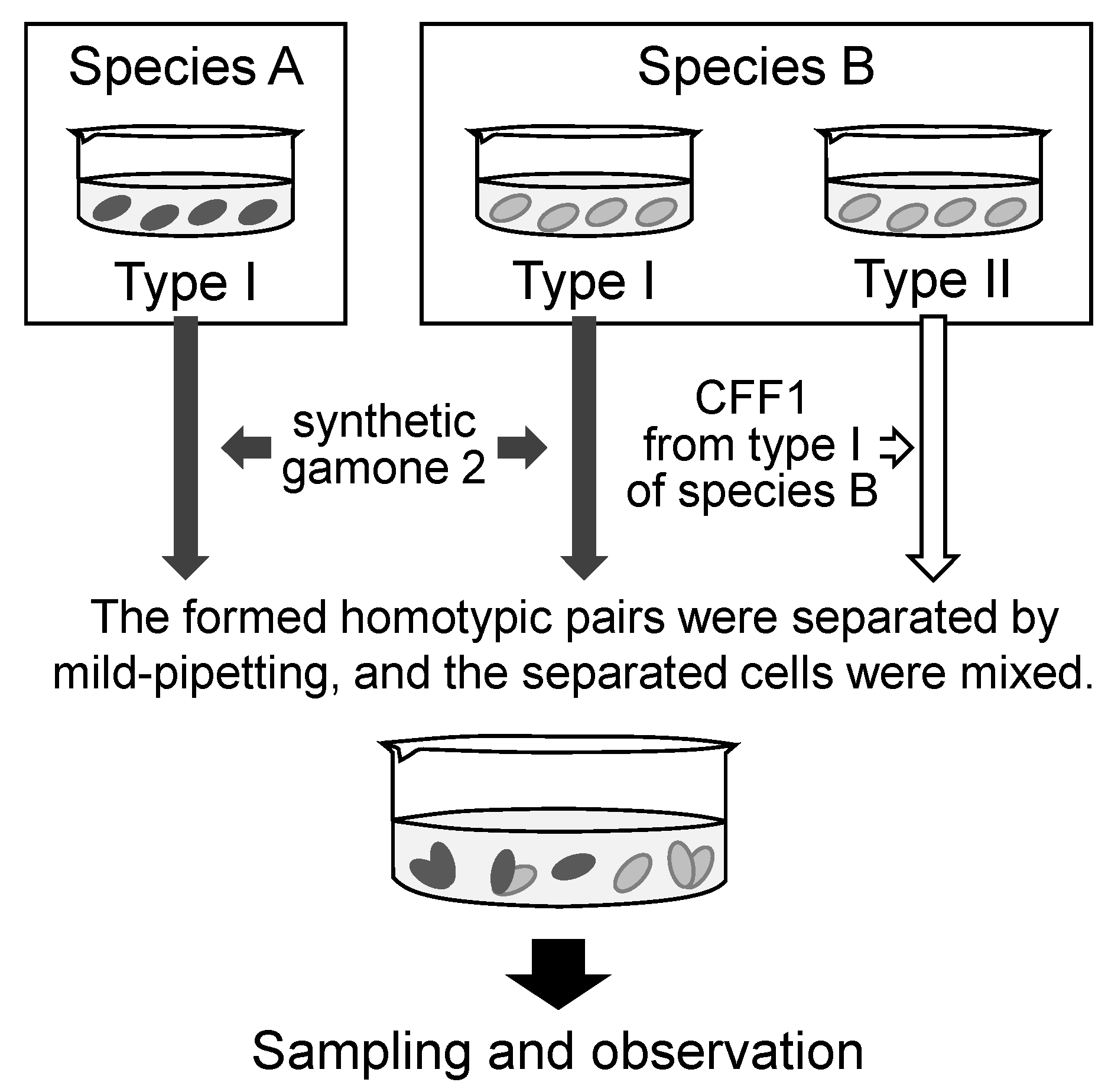 Microorganisms 11 00188 g001 Microorganisms 11 00188 g001