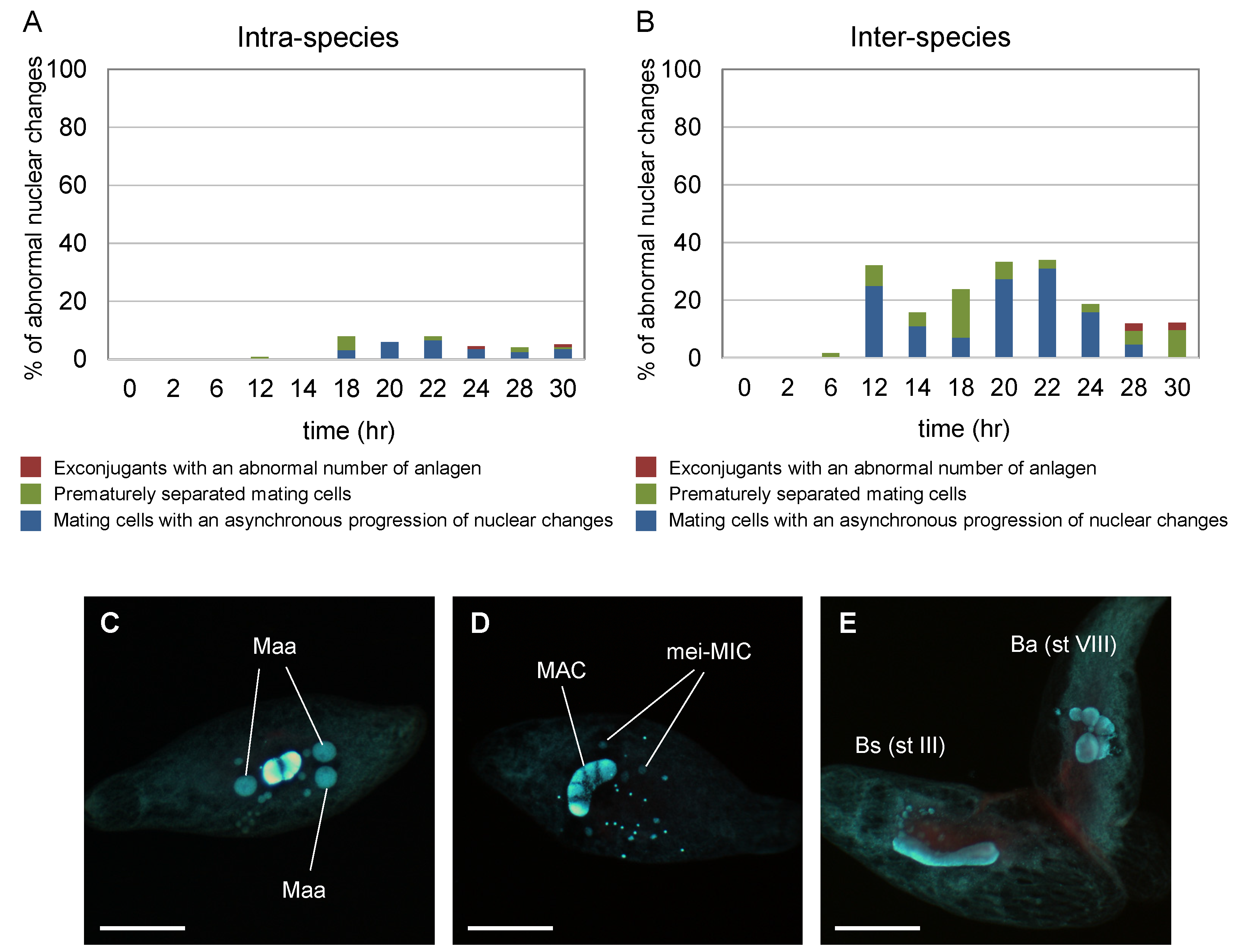 Microorganisms 11 00188 g005 Microorganisms 11 00188 g005