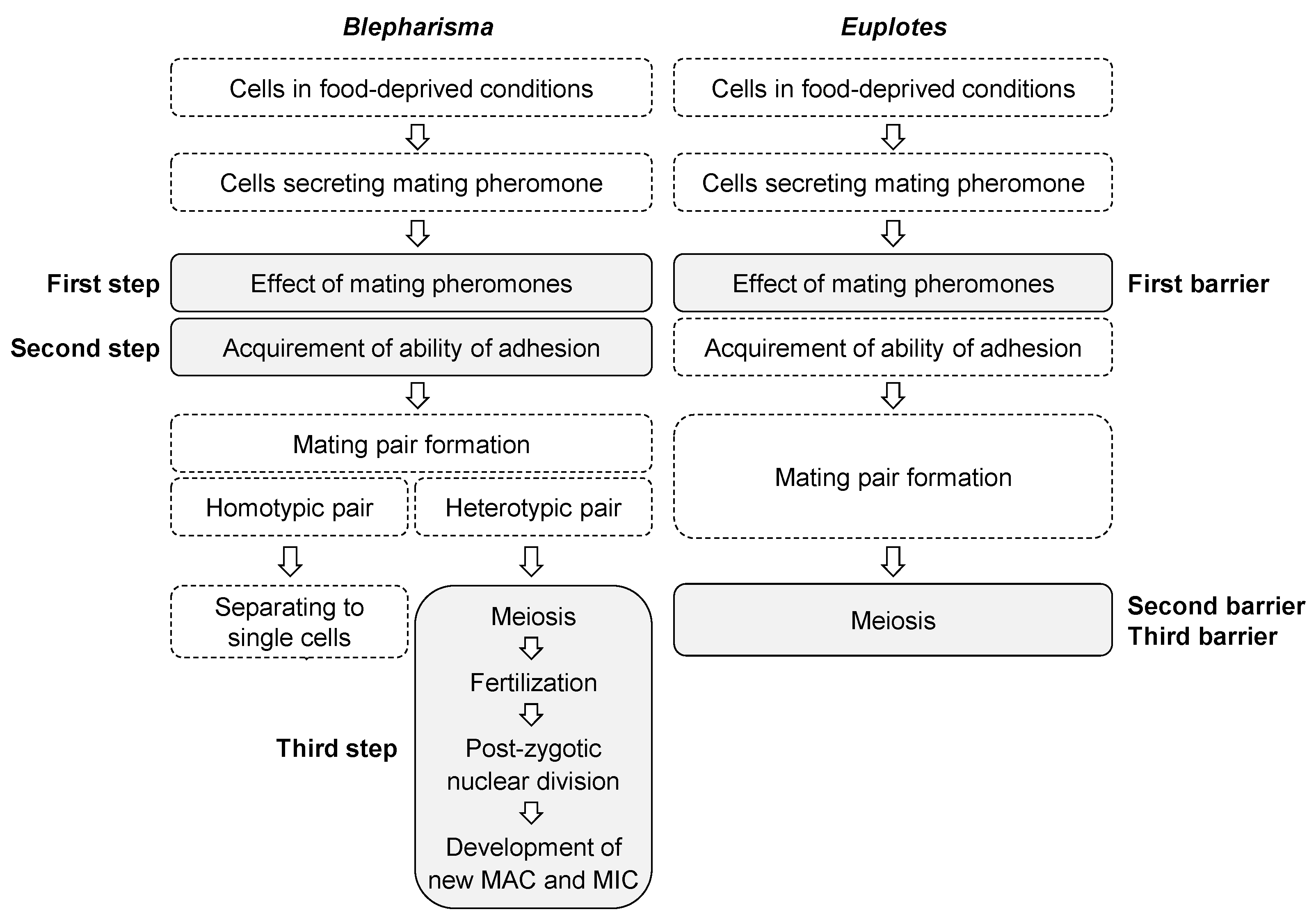 Microorganisms 11 00188 g006 Microorganisms 11 00188 g006