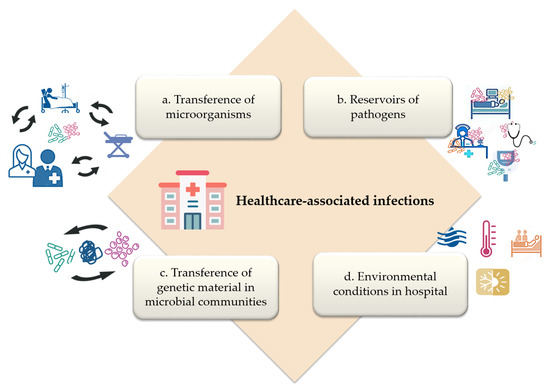 How Does Hospital Microbiota Contribute to Healthcare-Associated 