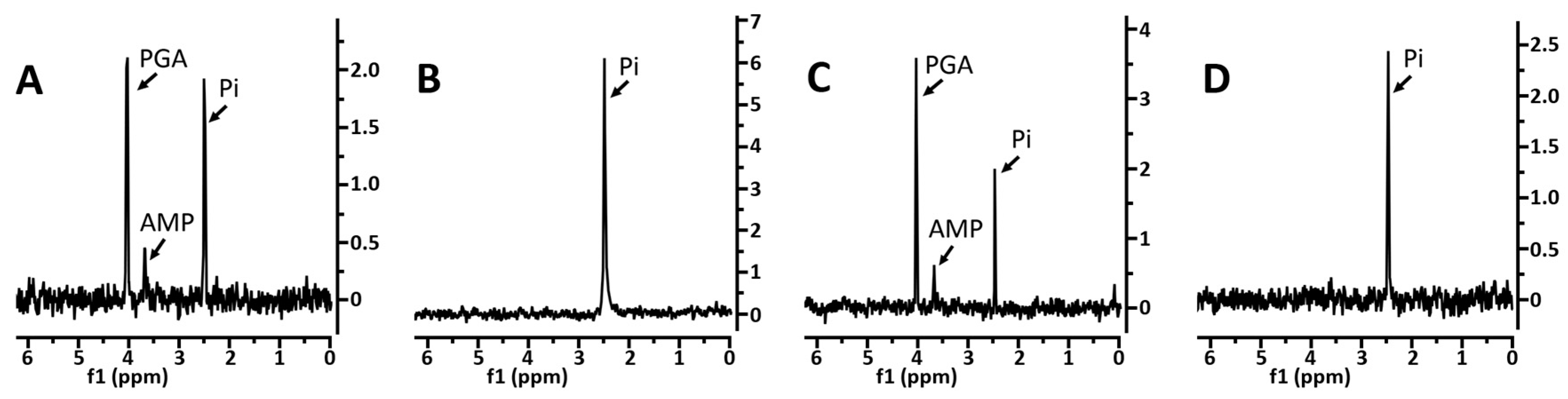 Microorganisms 11 00195 g001 Microorganisms 11 00195 g001