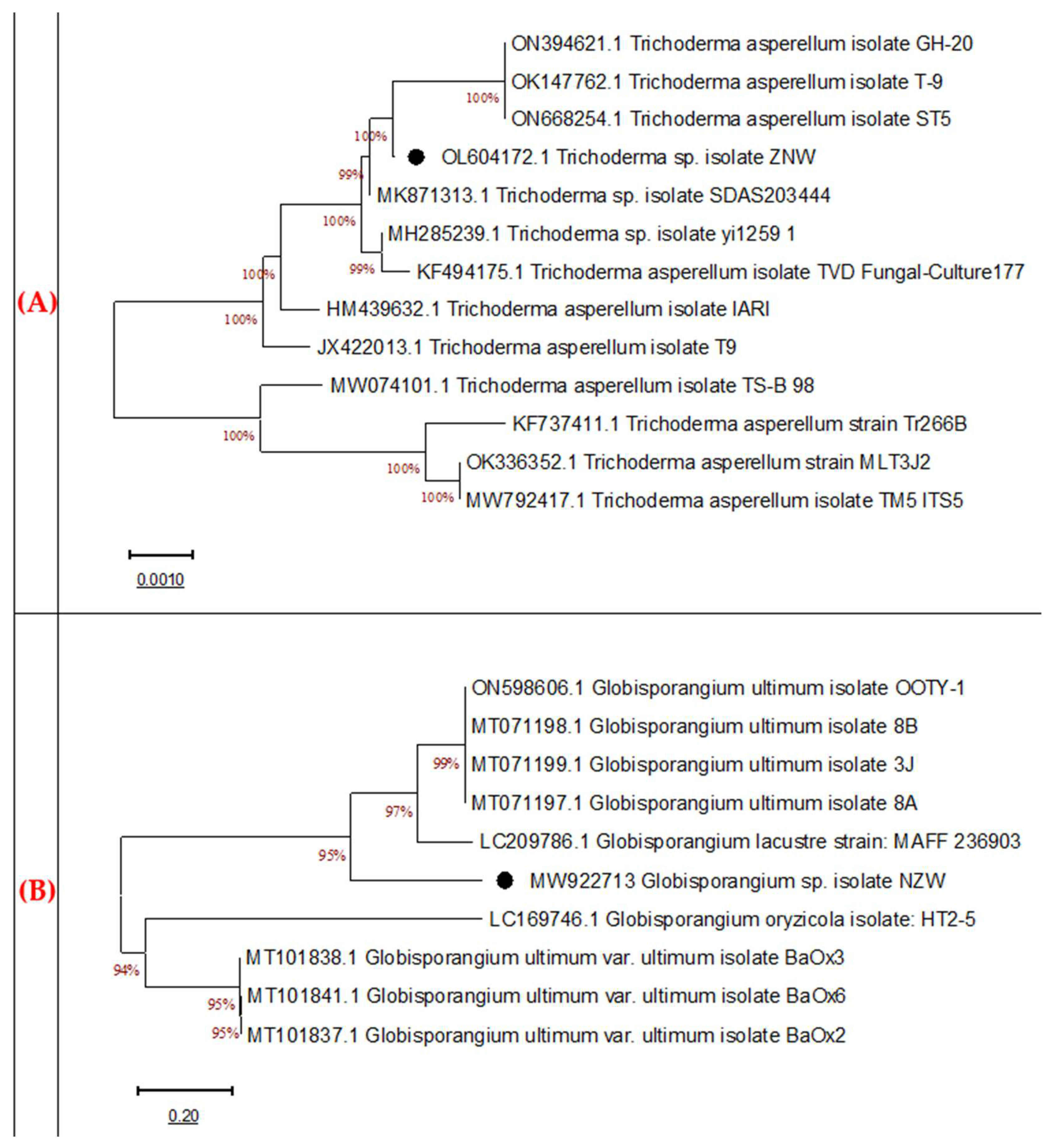 Microorganisms 11 00198 g004