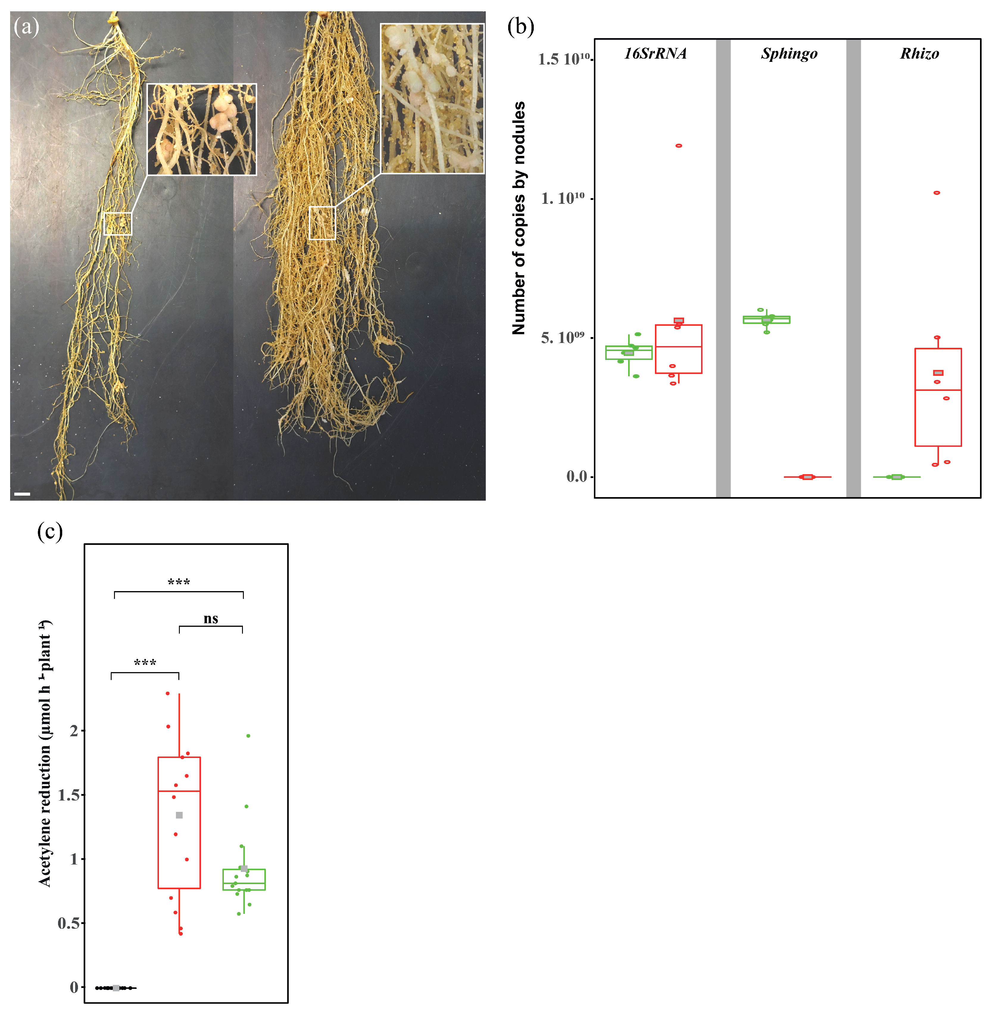 Microorganisms 11 00199 g002