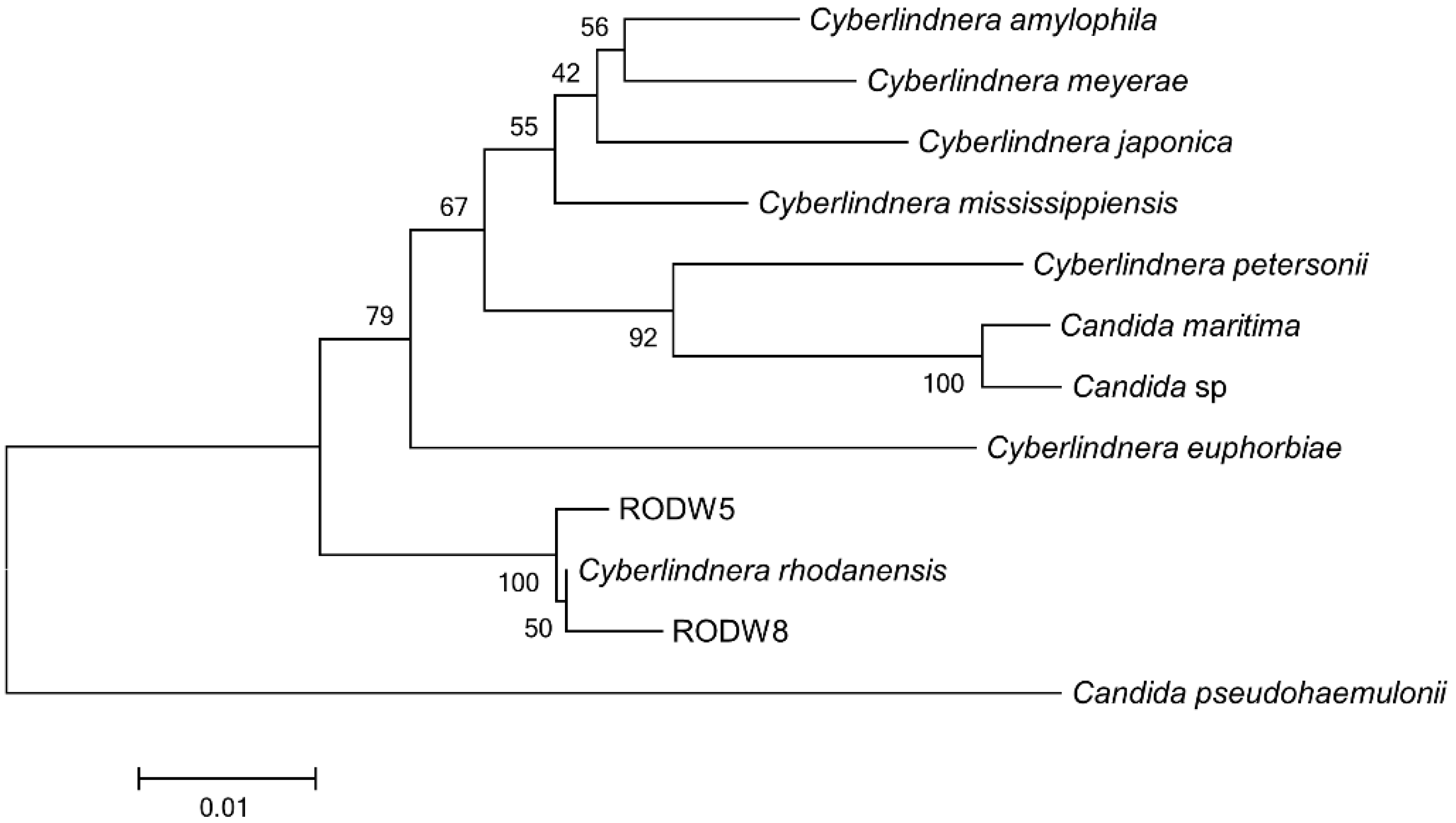 Microorganisms 11 00201 g002 Microorganisms 11 00201 g002
