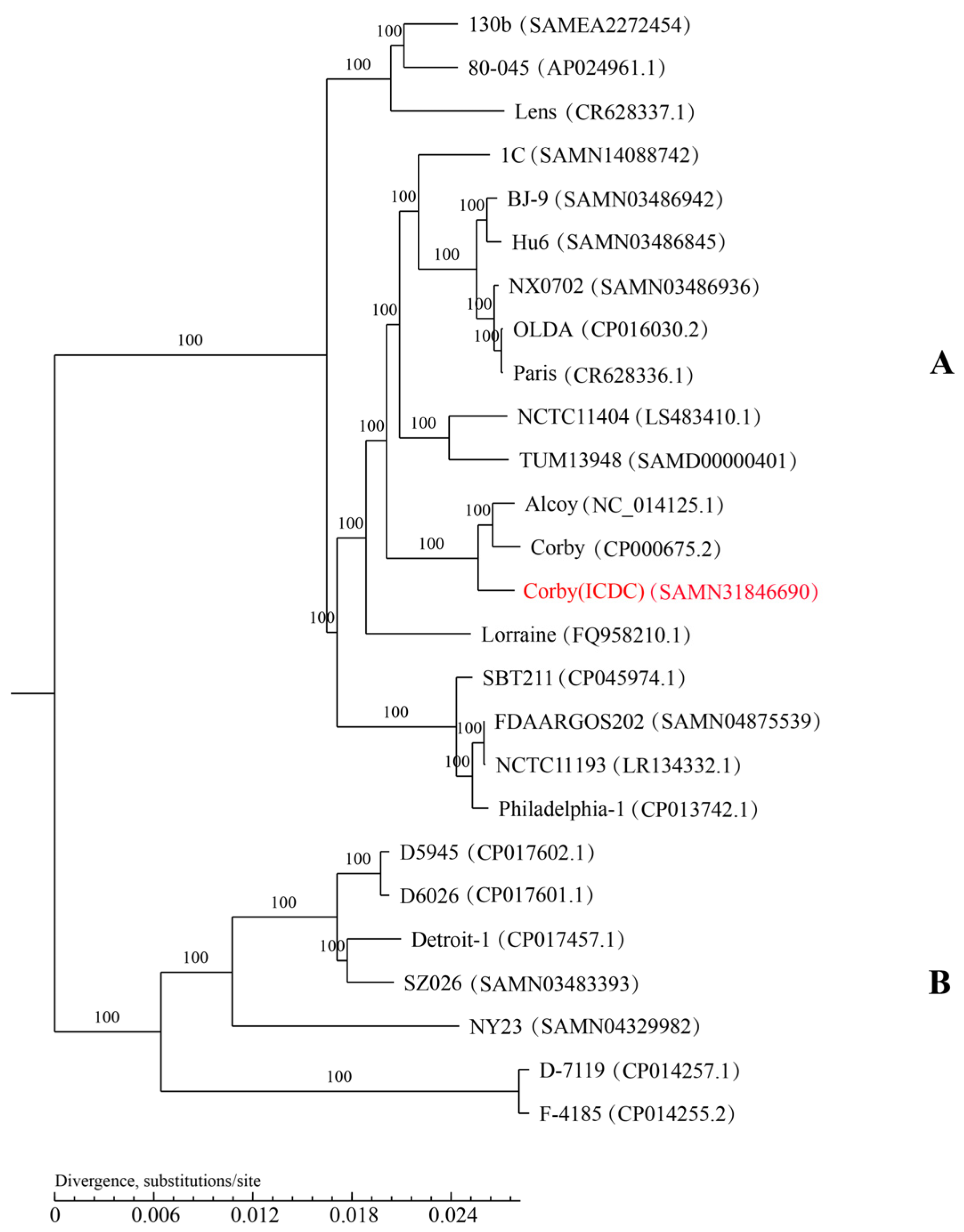 Microorganisms 11 00204 g004