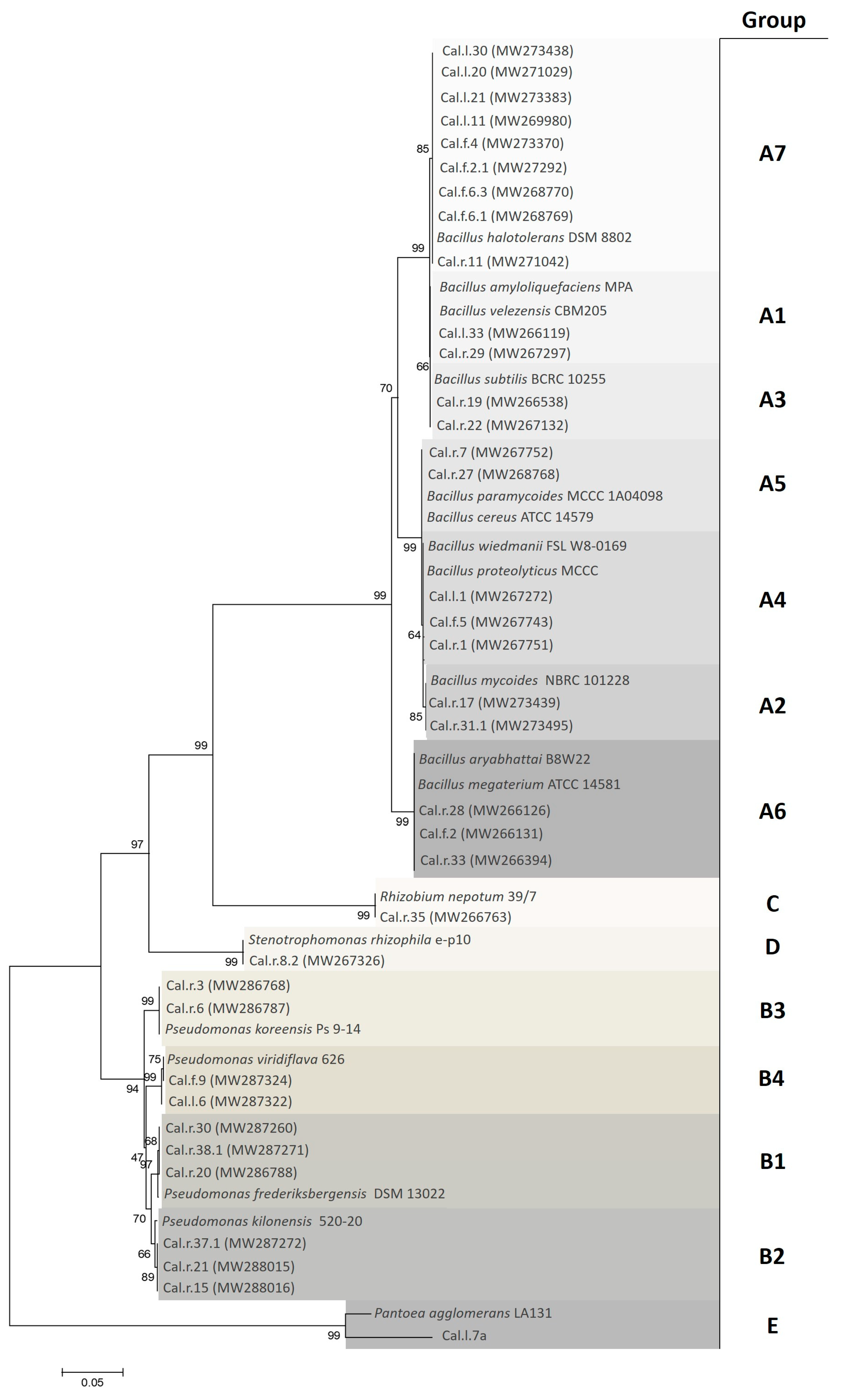 Microorganisms 11 00206 g001 Microorganisms 11 00206 g001