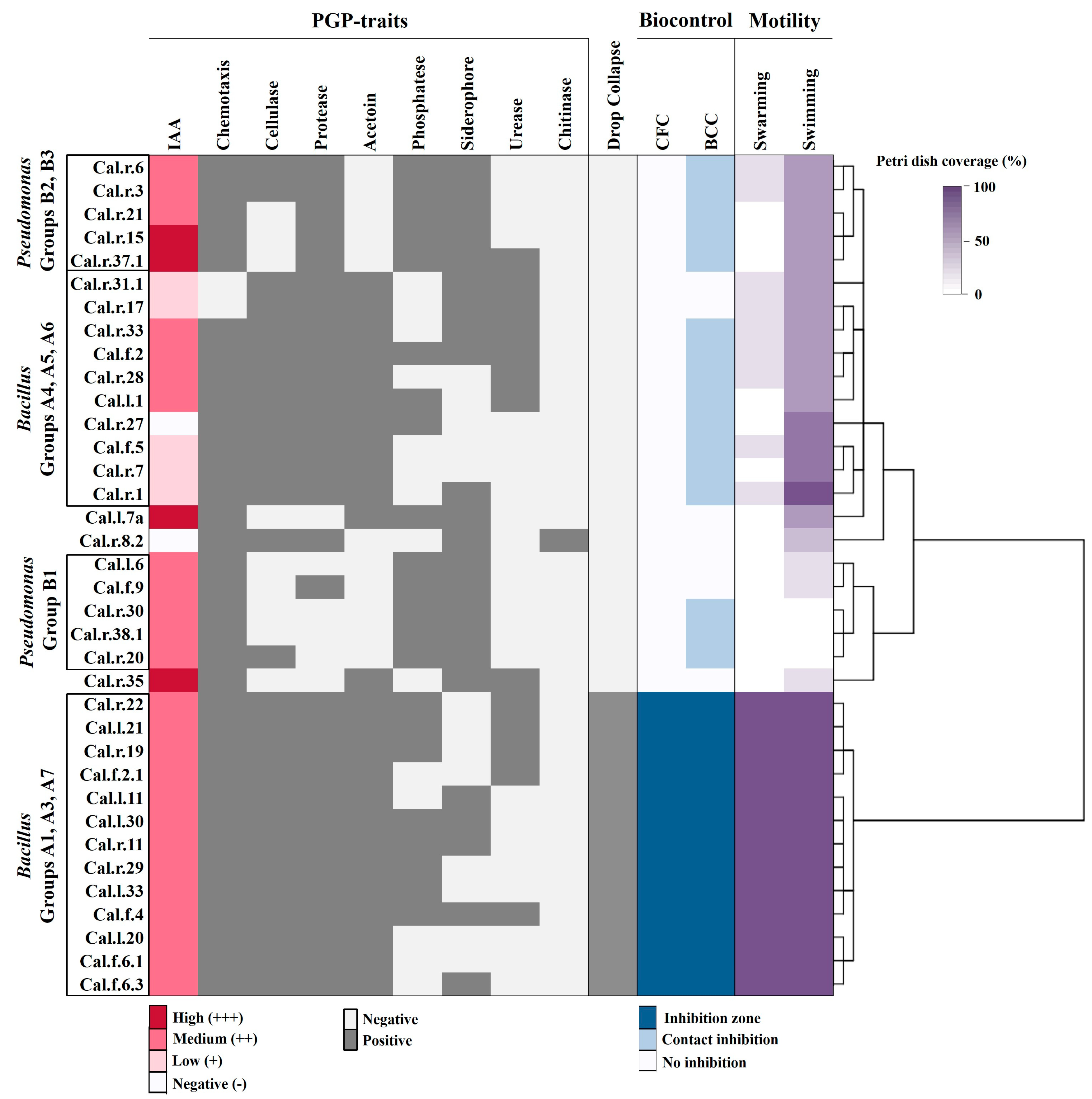 Microorganisms 11 00206 g003 Microorganisms 11 00206 g003