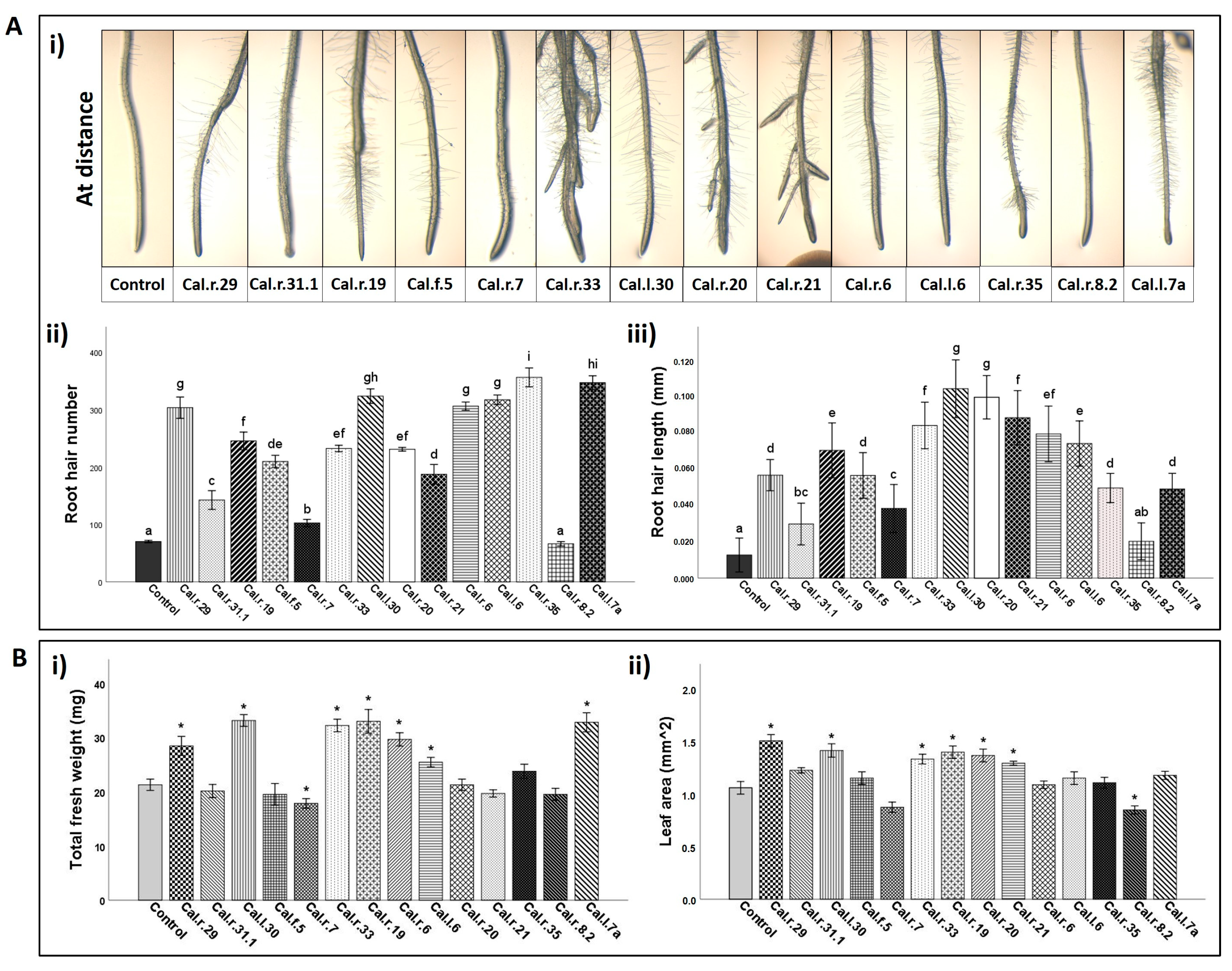 Microorganisms 11 00206 g007 Microorganisms 11 00206 g007