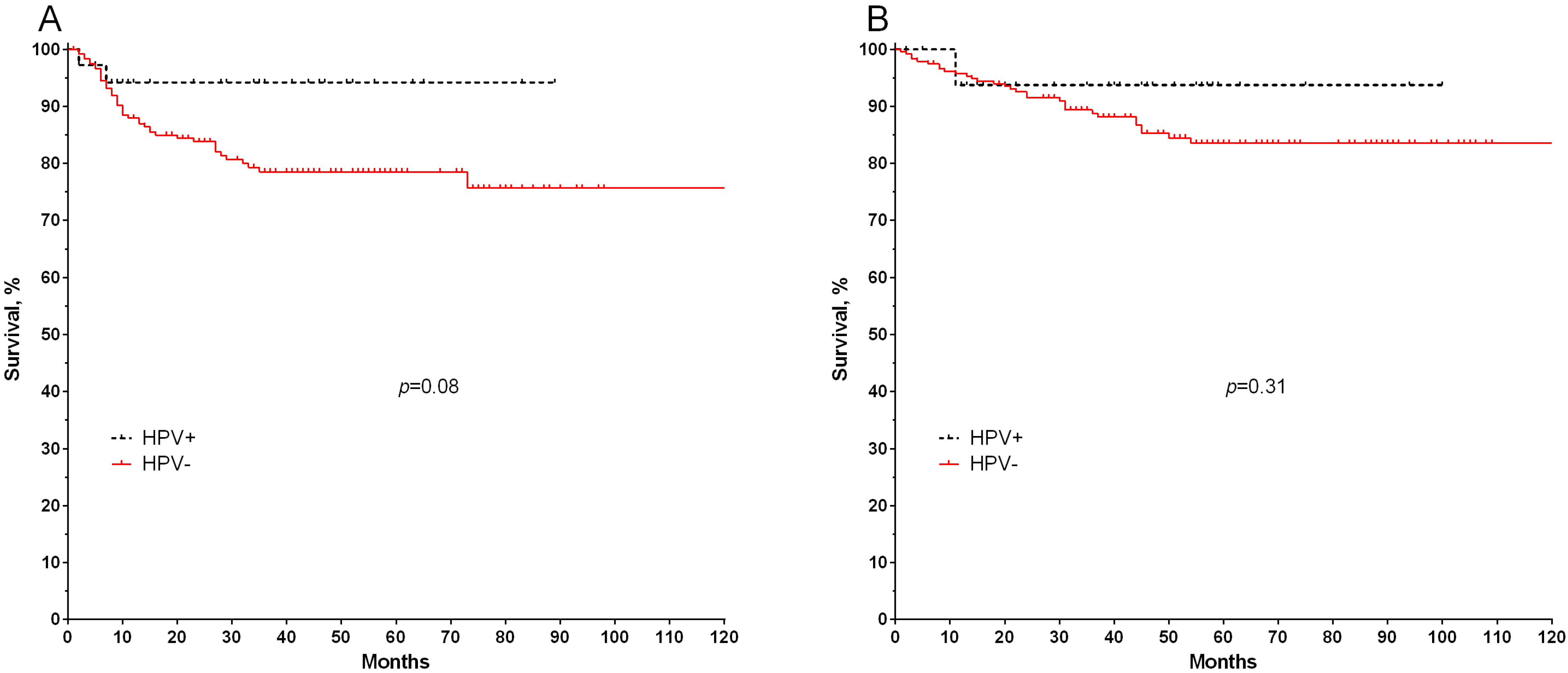 Microorganisms 11 00212 g003 Microorganisms 11 00212 g003