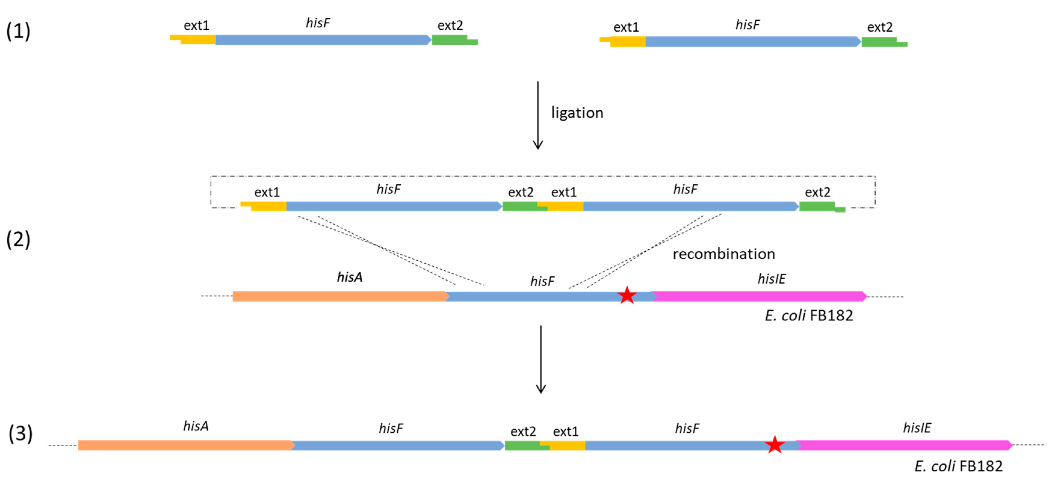 Microorganisms 11 00215 g003 Microorganisms 11 00215 g003