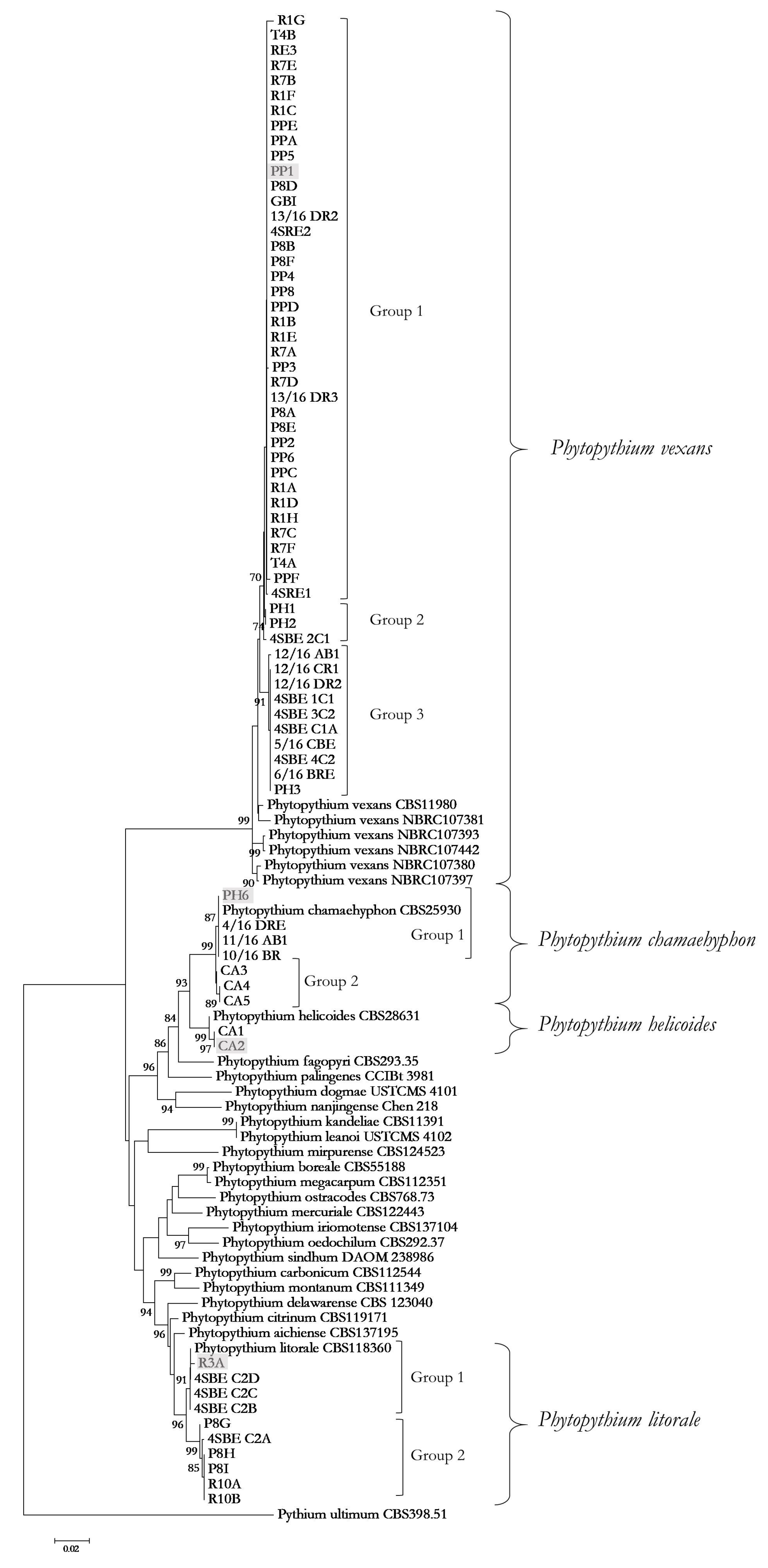 Microorganisms 11 00216 g002 Microorganisms 11 00216 g002