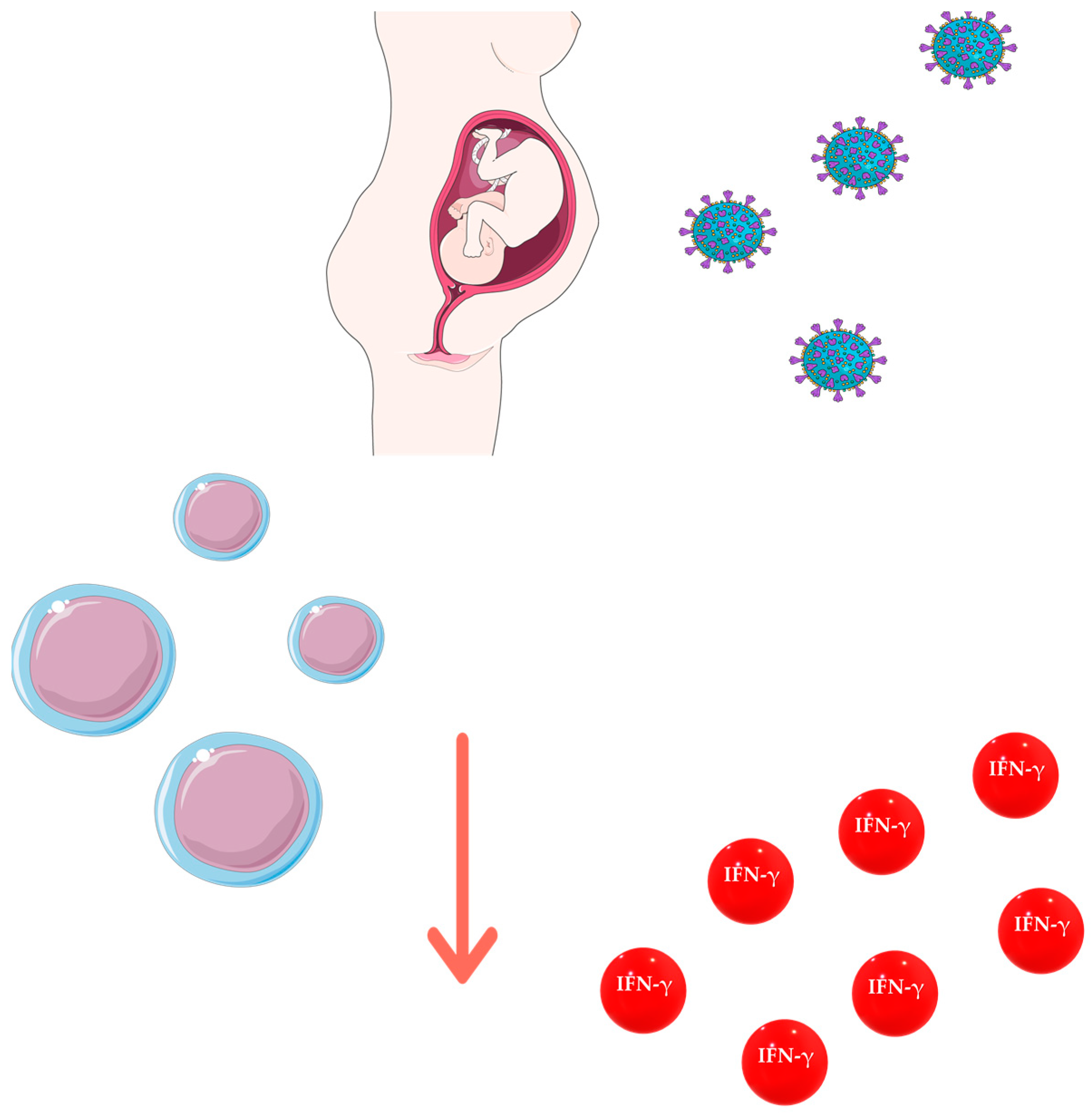 Microorganisms 11 00223 g004 Microorganisms 11 00223 g004