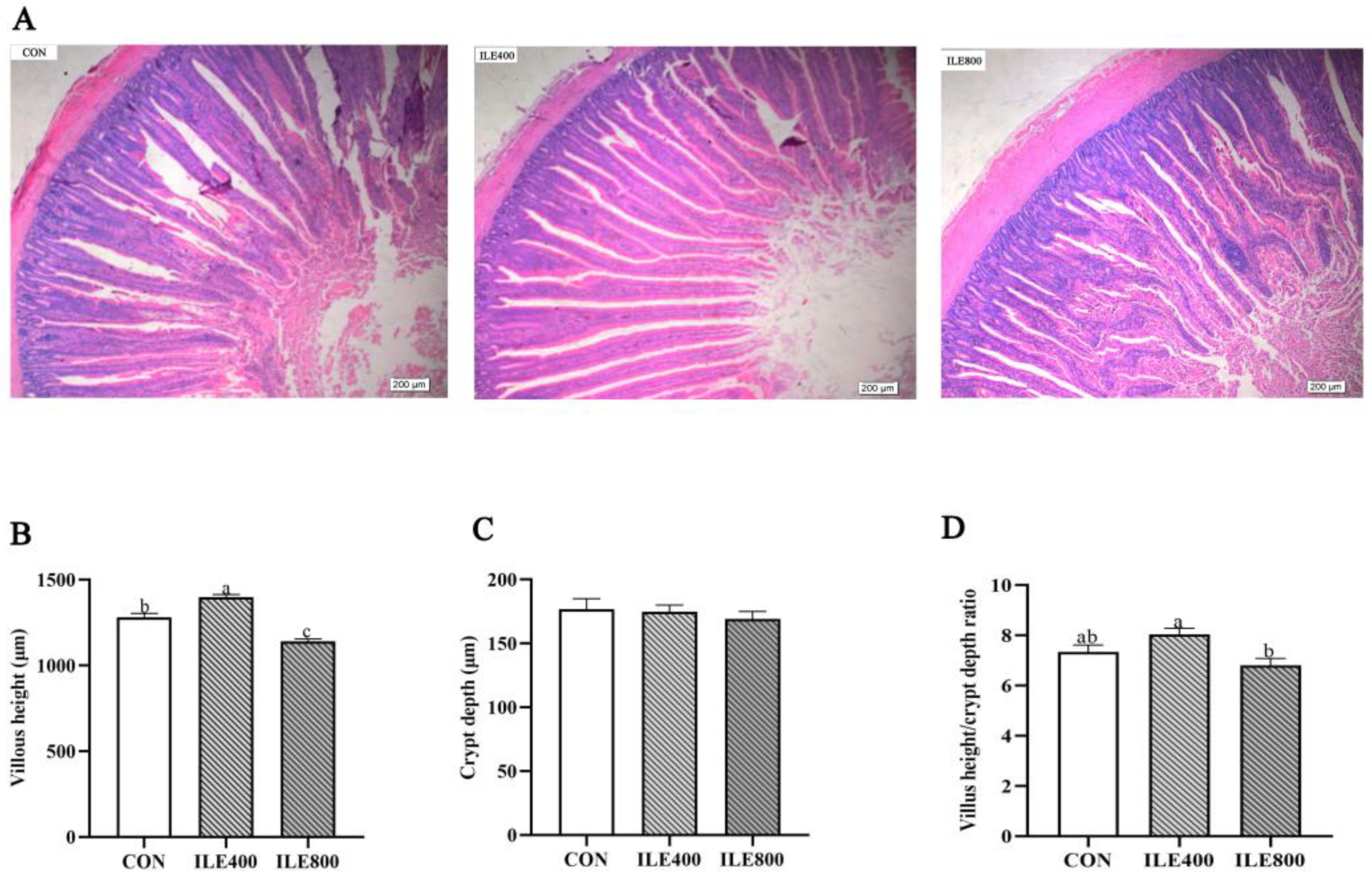 Microorganisms 11 00236 g002 Microorganisms 11 00236 g002