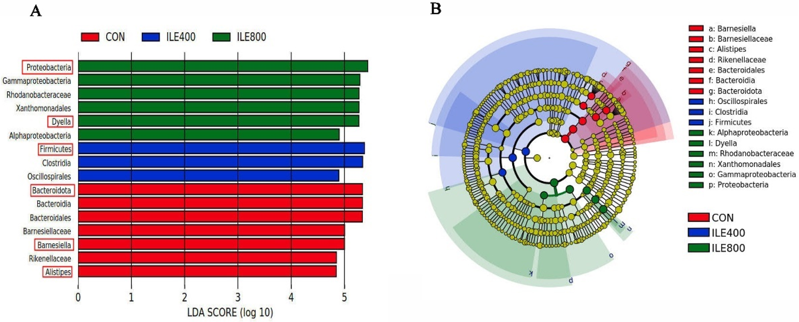 Microorganisms 11 00236 g005 Microorganisms 11 00236 g005