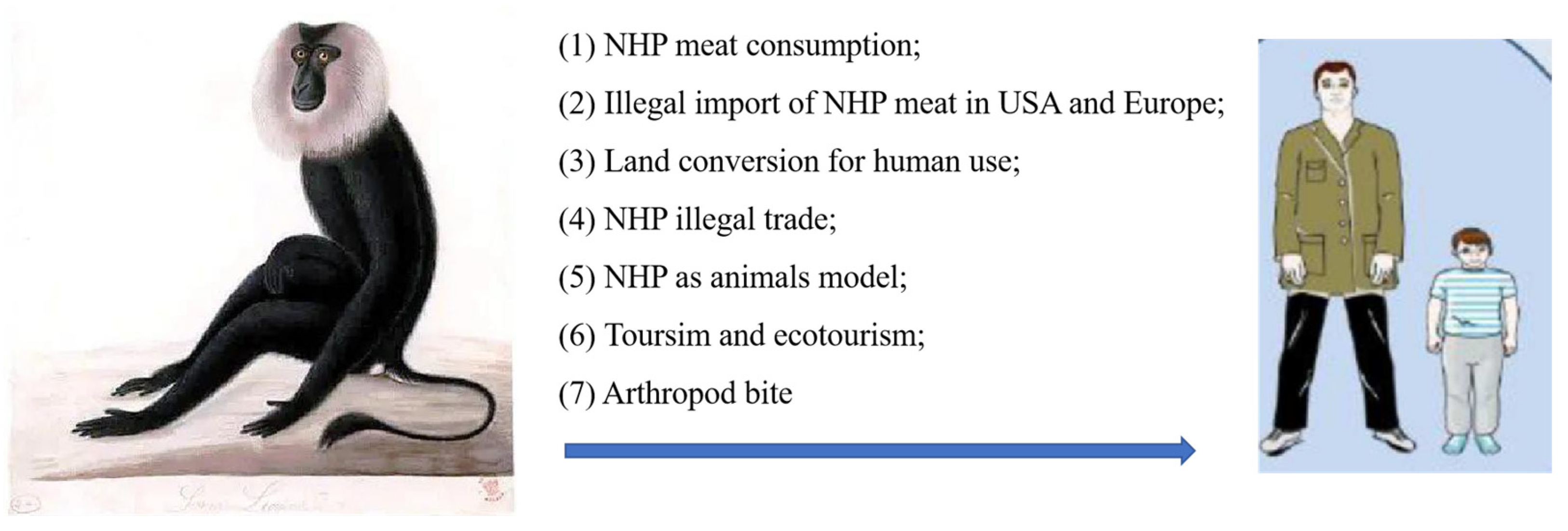 Free FullText A Review on Zoonotic Pathogens