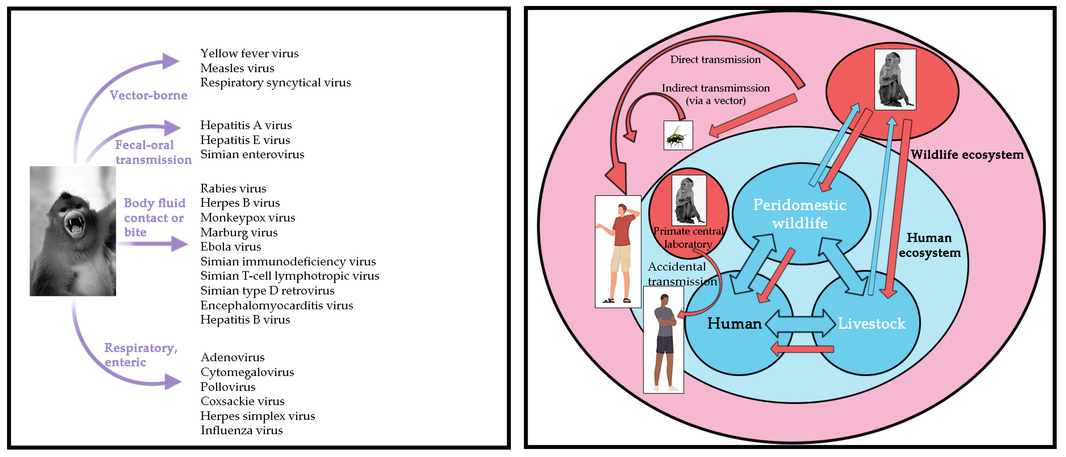 Microorganisms 11 00246 g002 Microorganisms 11 00246 g002