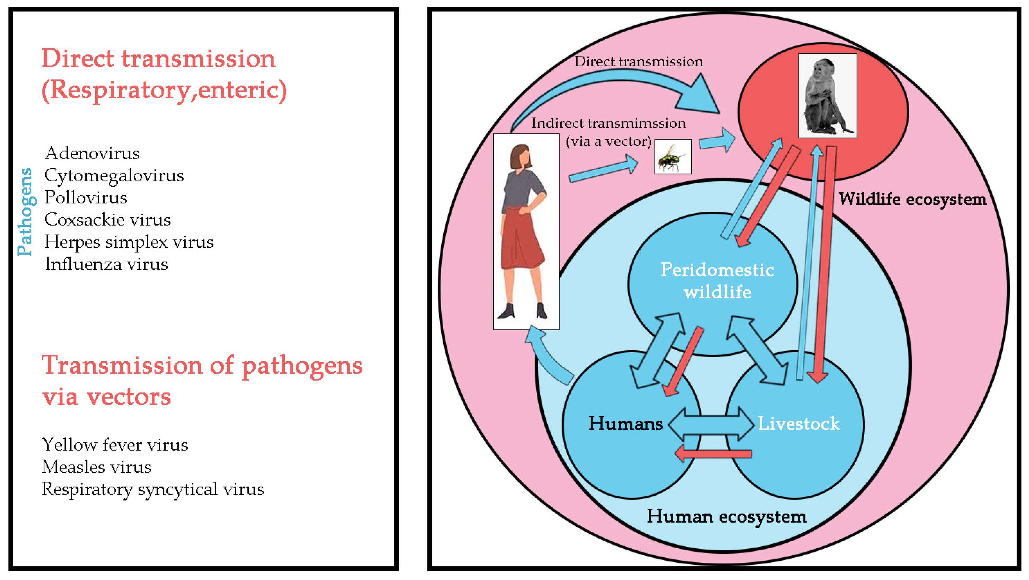 Microorganisms 11 00246 g003 Microorganisms 11 00246 g003
