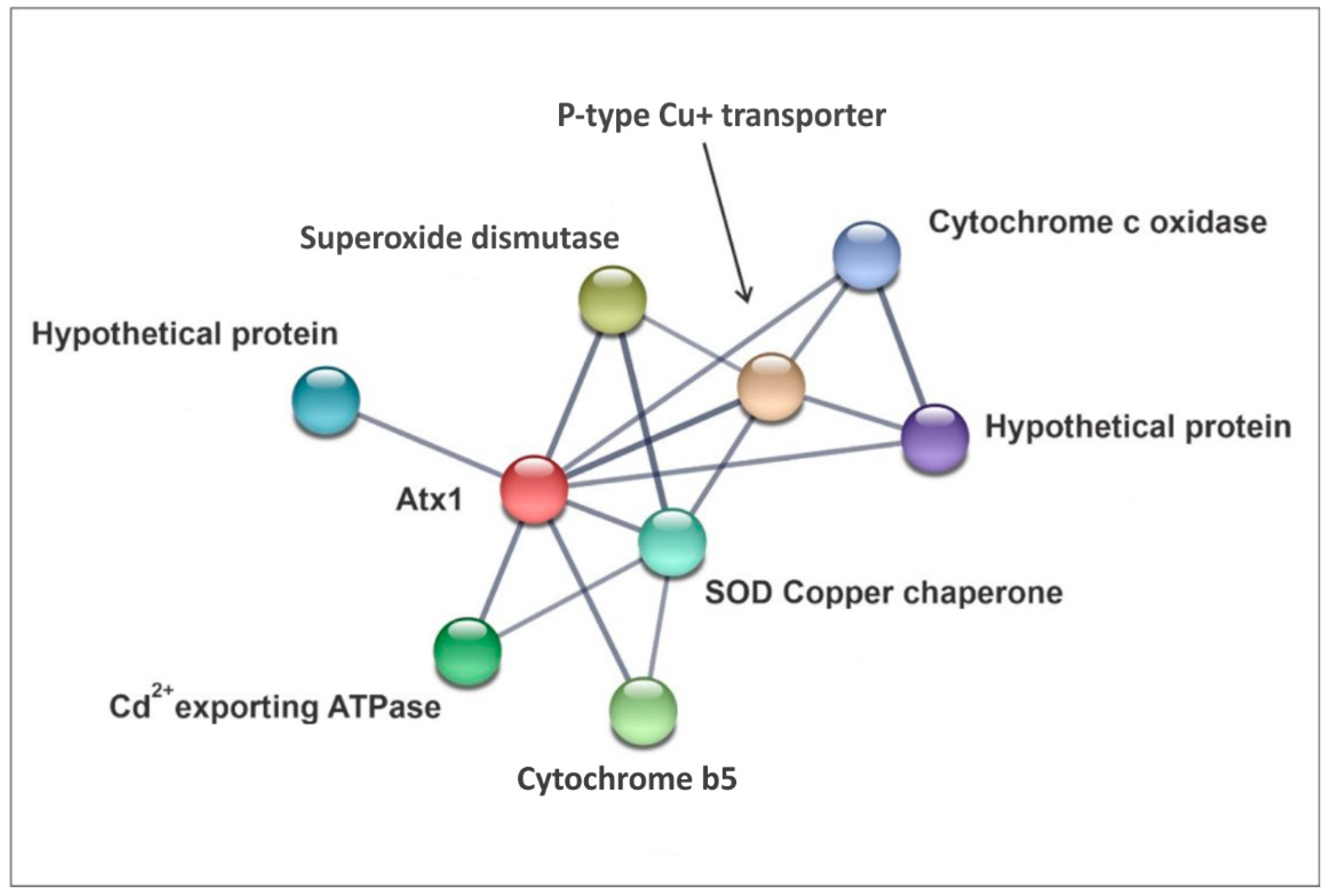 Microorganisms 11 00248 g002 Microorganisms 11 00248 g002