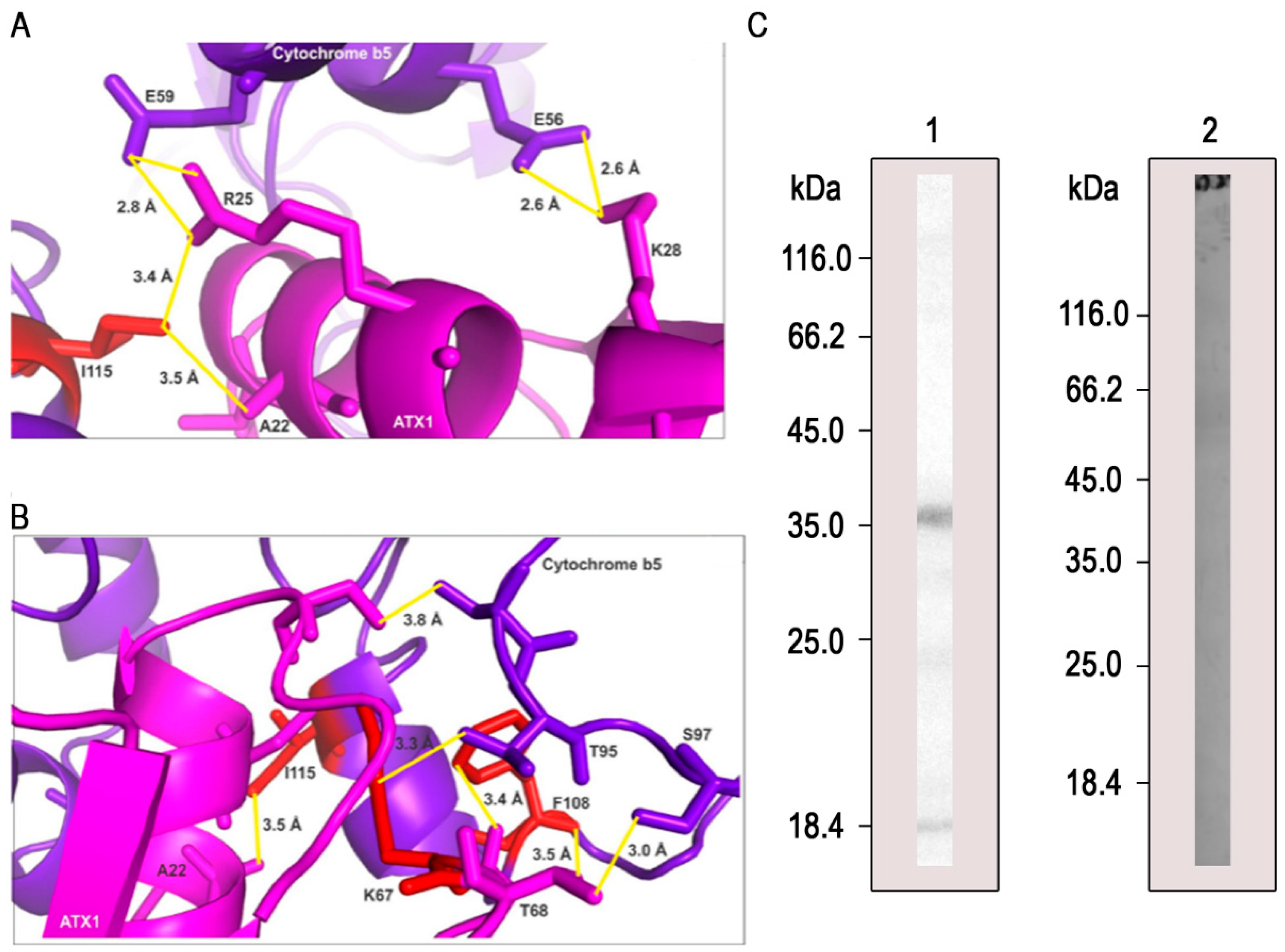 Microorganisms 11 00248 g004 Microorganisms 11 00248 g004