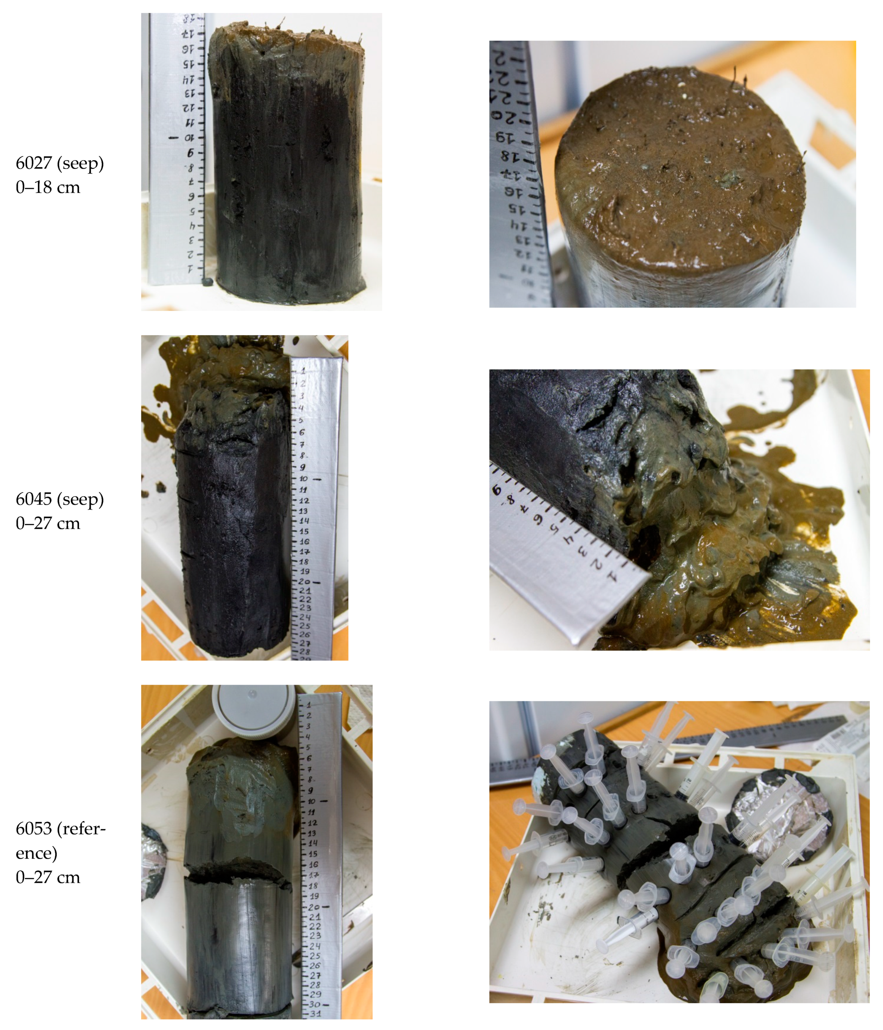 Microorganisms 11 00250 g002 Microorganisms 11 00250 g002