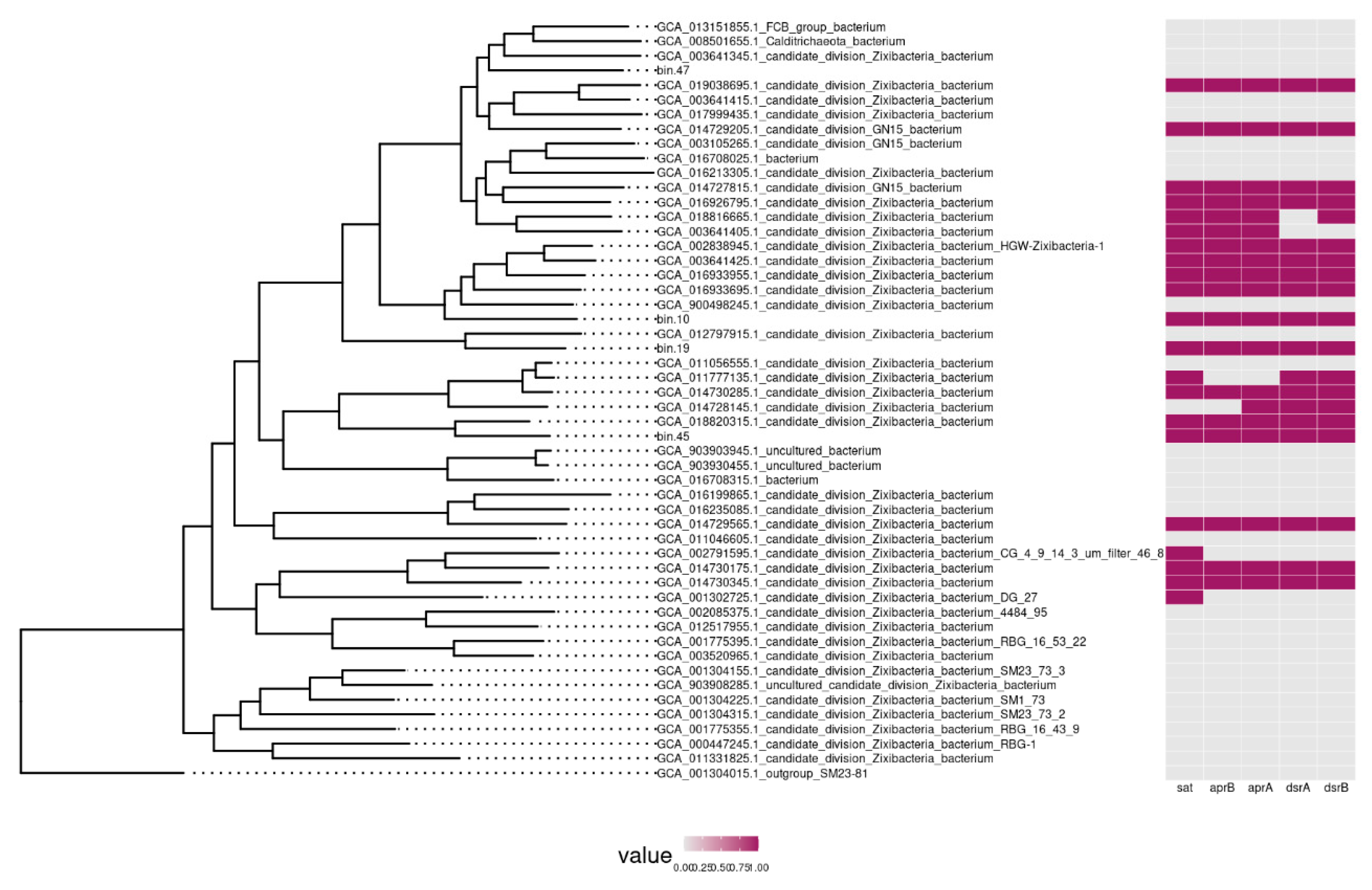Microorganisms 11 00250 g007 Microorganisms 11 00250 g007
