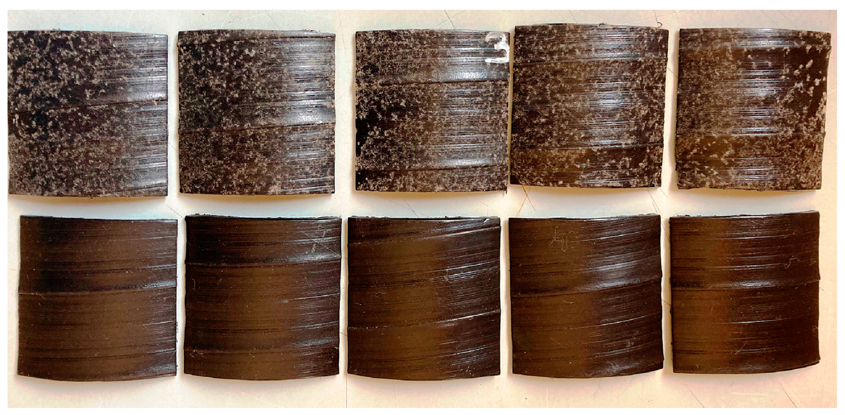 Microorganisms 11 00251 g001