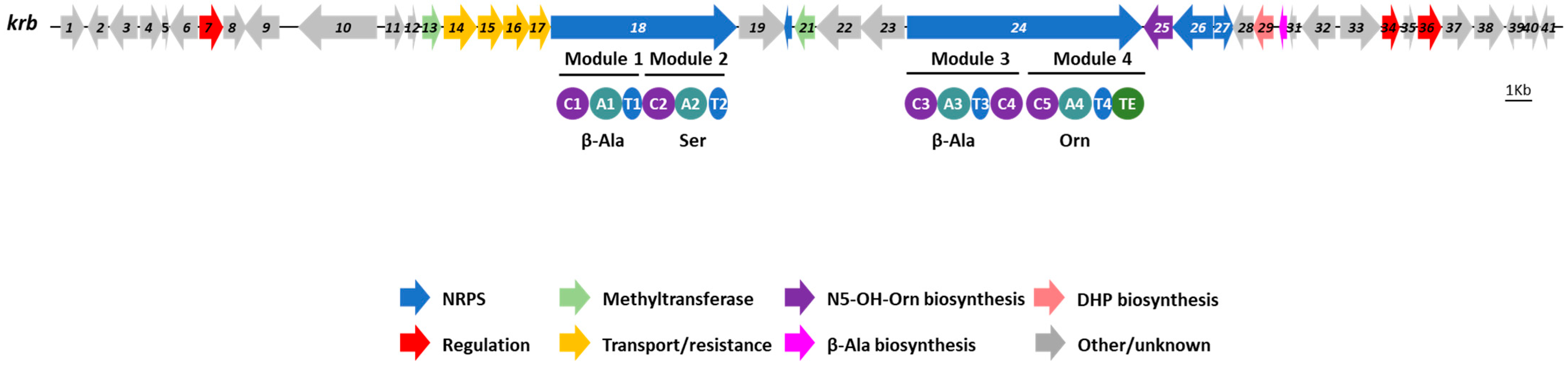 Microorganisms 11 00265 g003 Microorganisms 11 00265 g003