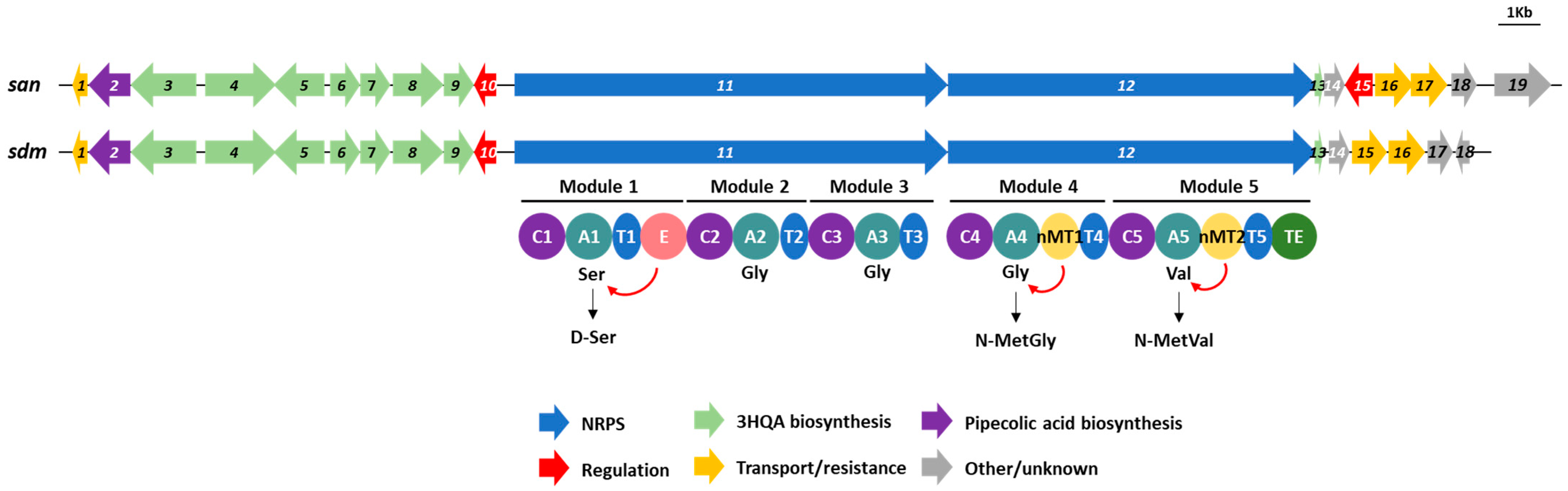 Microorganisms 11 00265 g005 Microorganisms 11 00265 g005