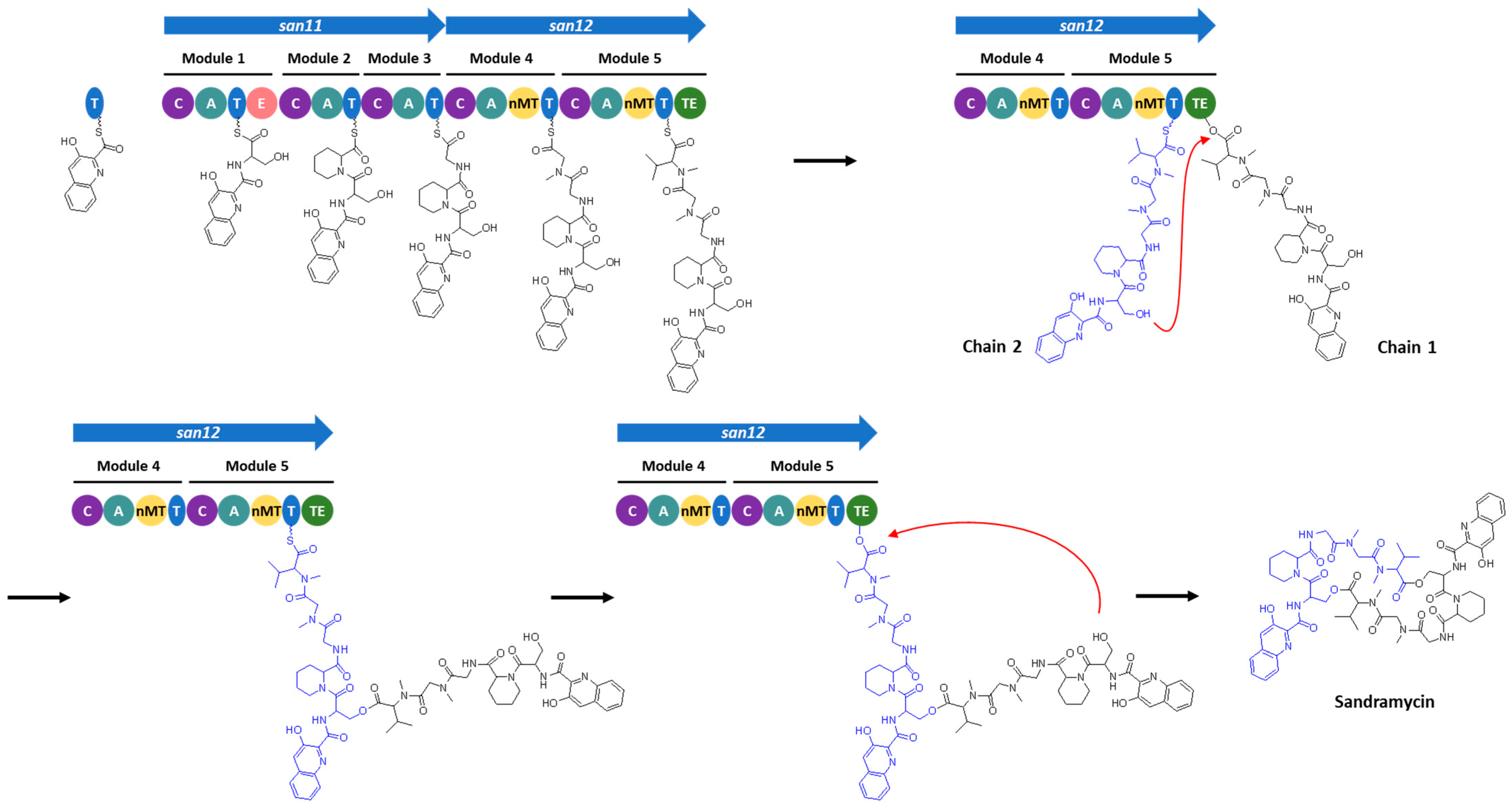 Microorganisms 11 00265 g006 Microorganisms 11 00265 g006