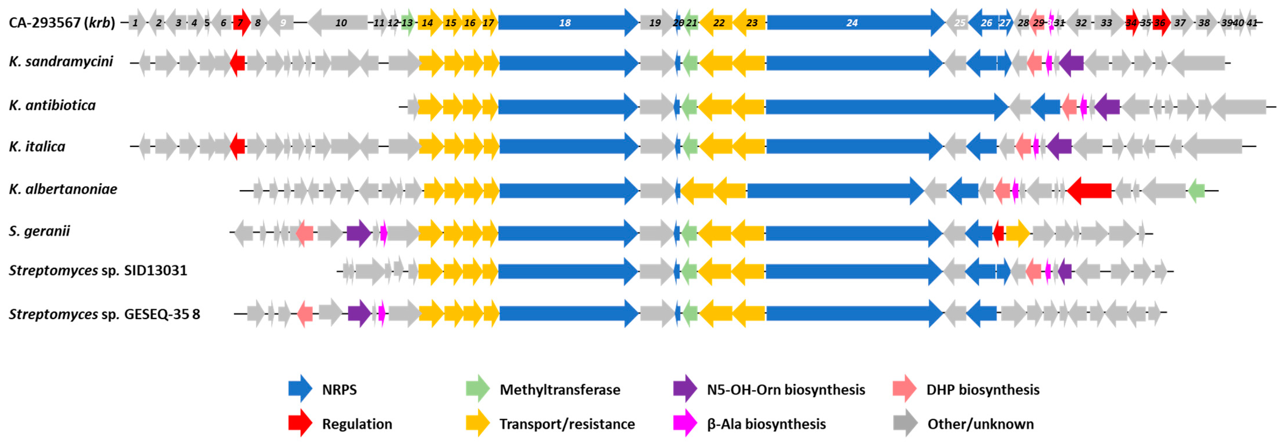 Microorganisms 11 00265 g008 Microorganisms 11 00265 g008