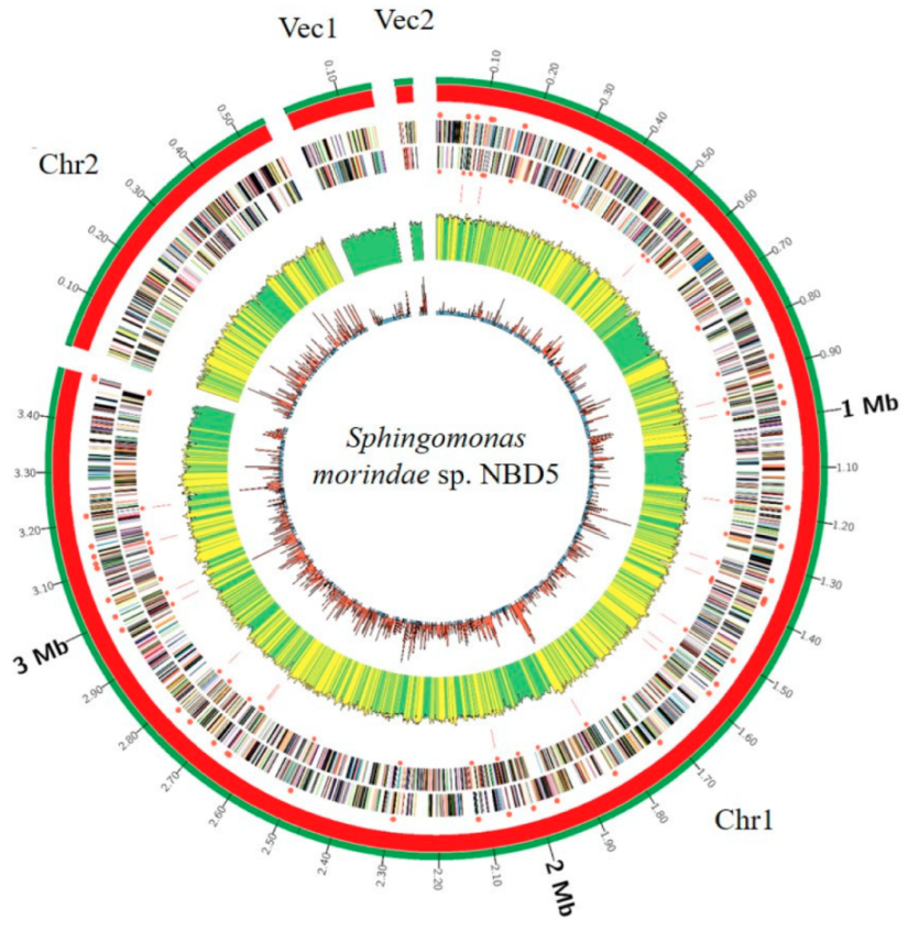 Microorganisms 11 00266 g001 Microorganisms 11 00266 g001