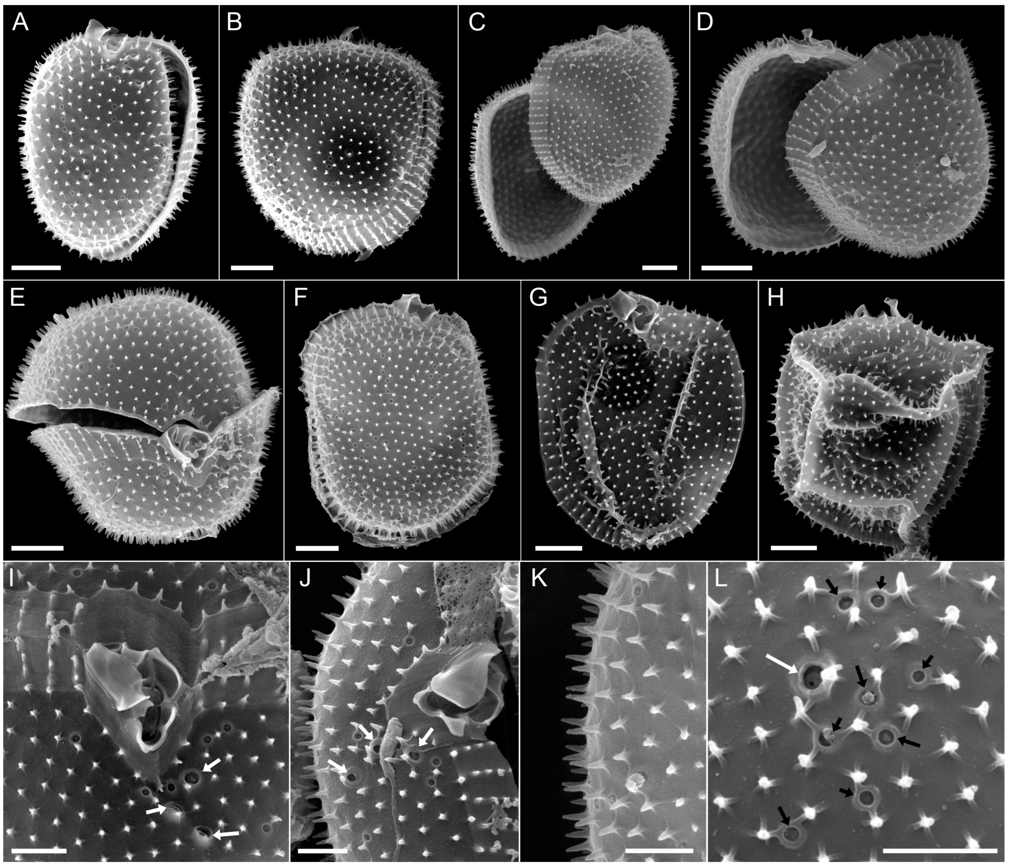 Microorganisms 11 00271 g002