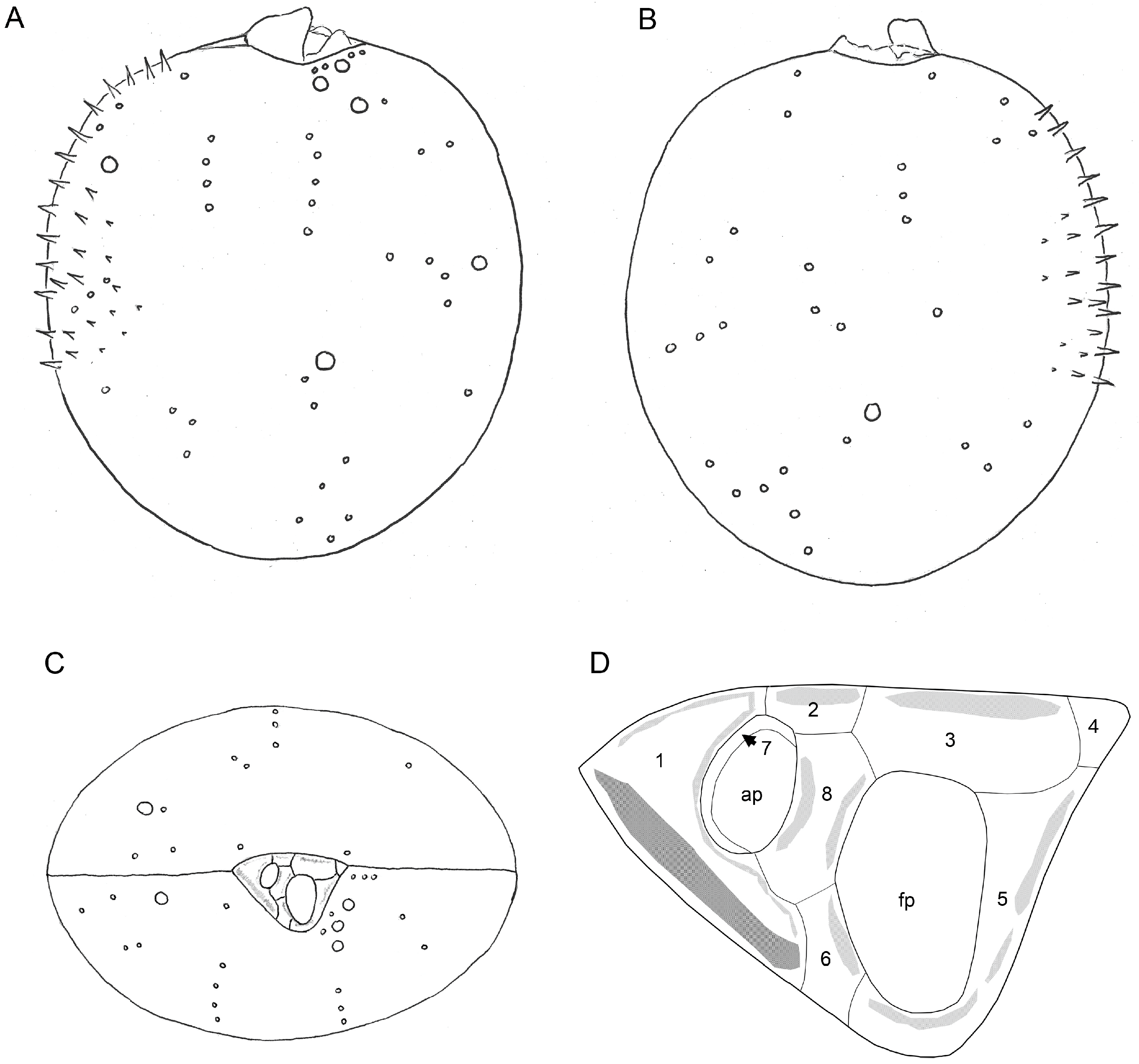 Microorganisms 11 00271 g004