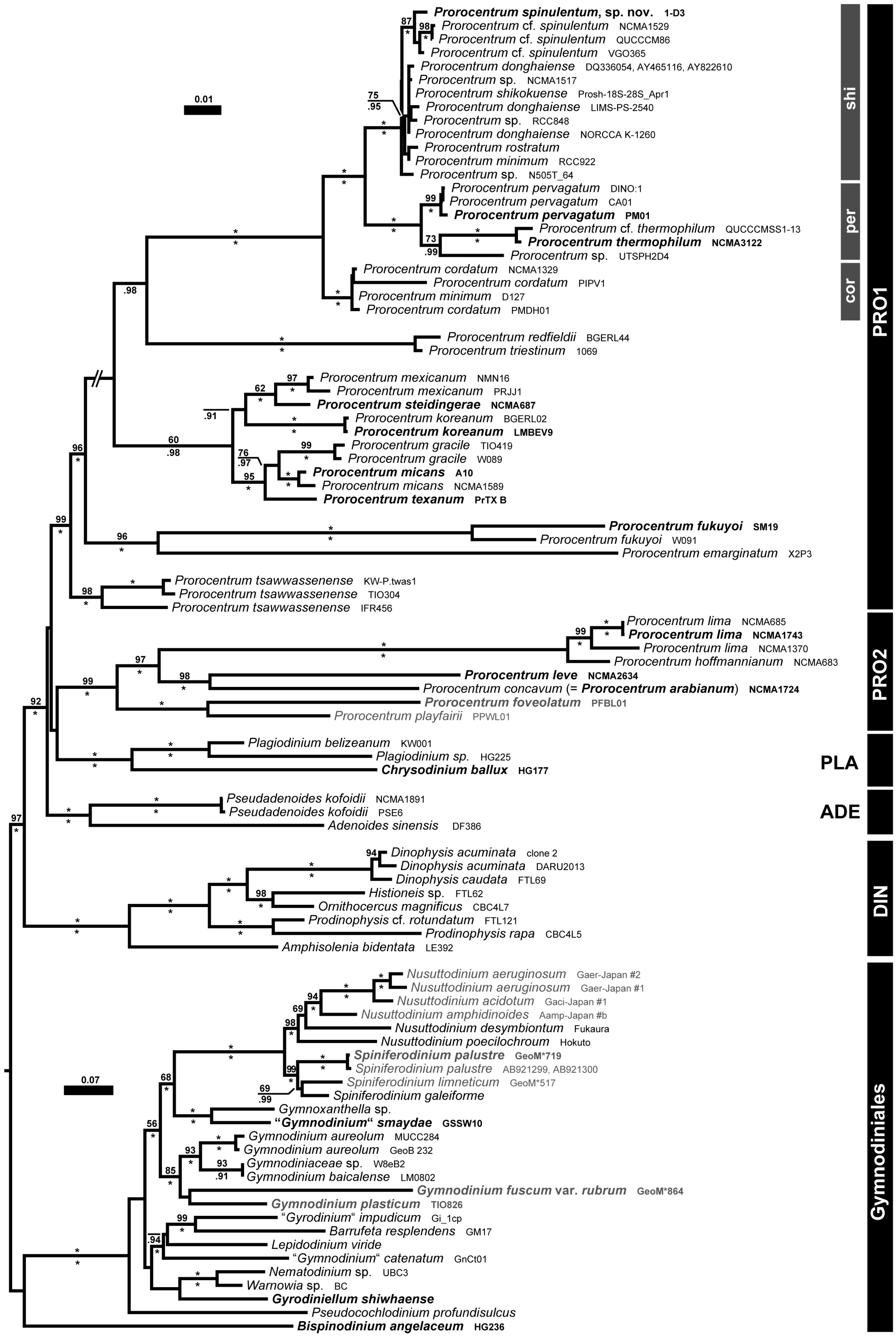 Microorganisms 11 00271 g005