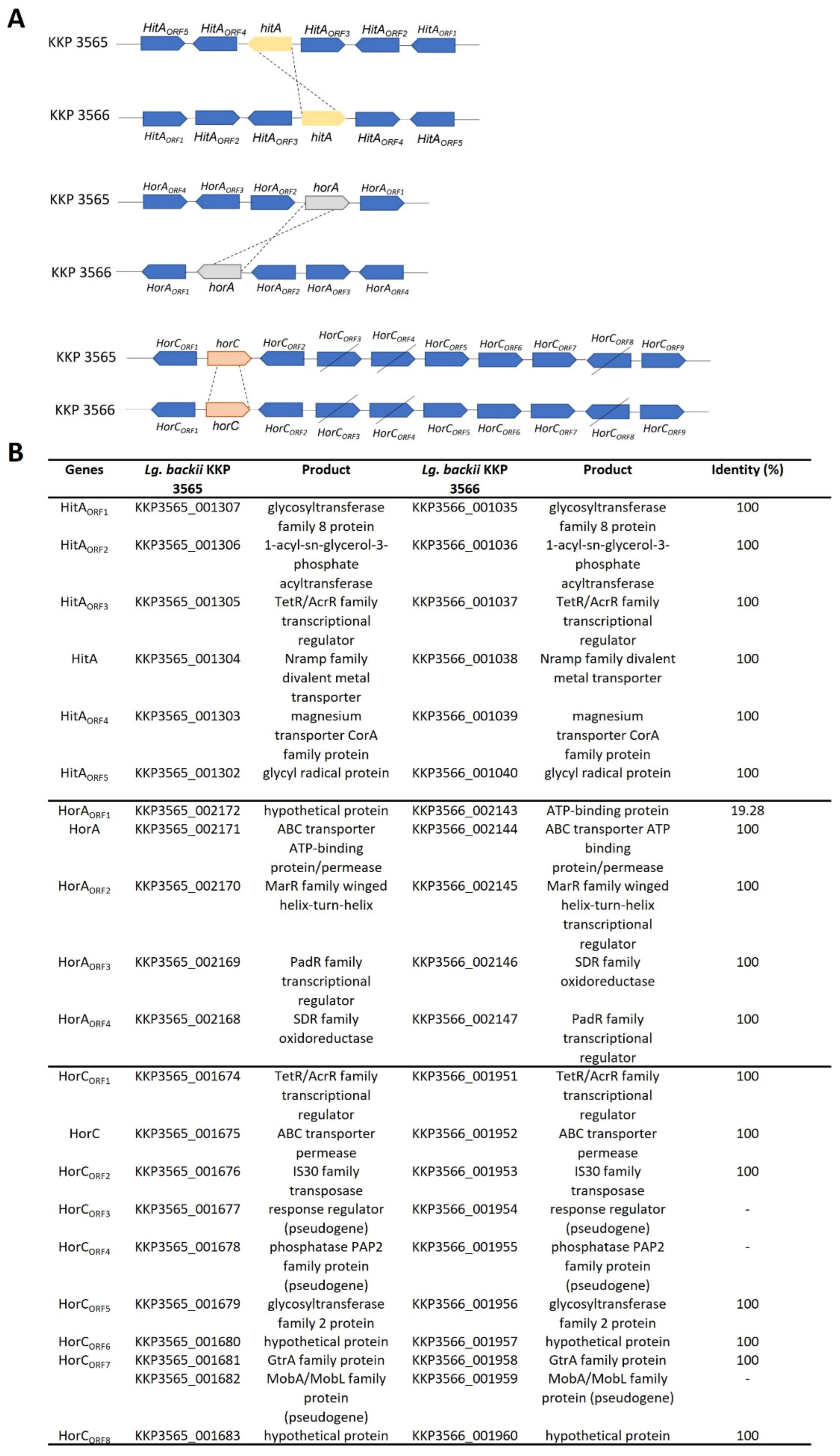 Microorganisms 11 00280 g004 Microorganisms 11 00280 g004