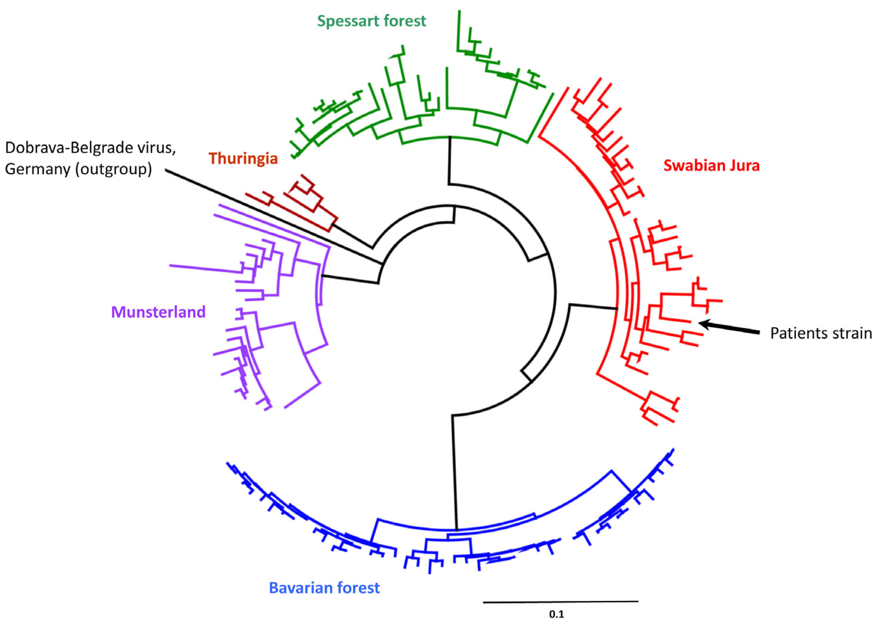 Microorganisms 11 00283 g002
