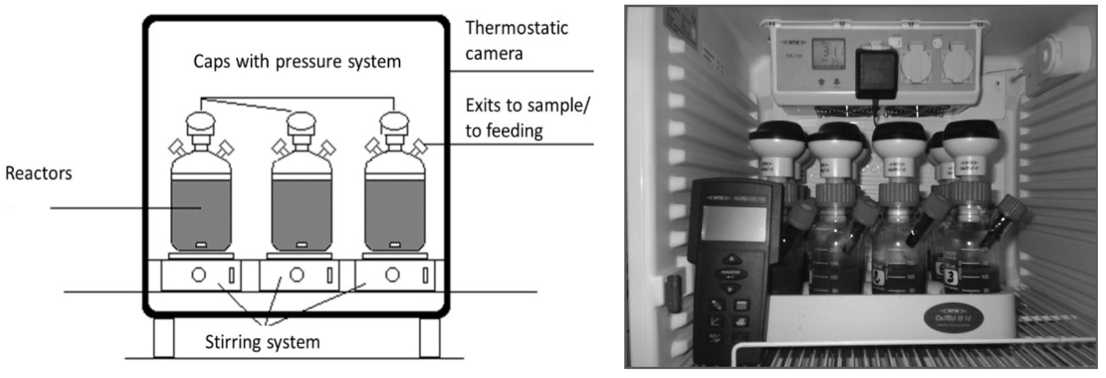 Microorganisms 11 00285 g001 550