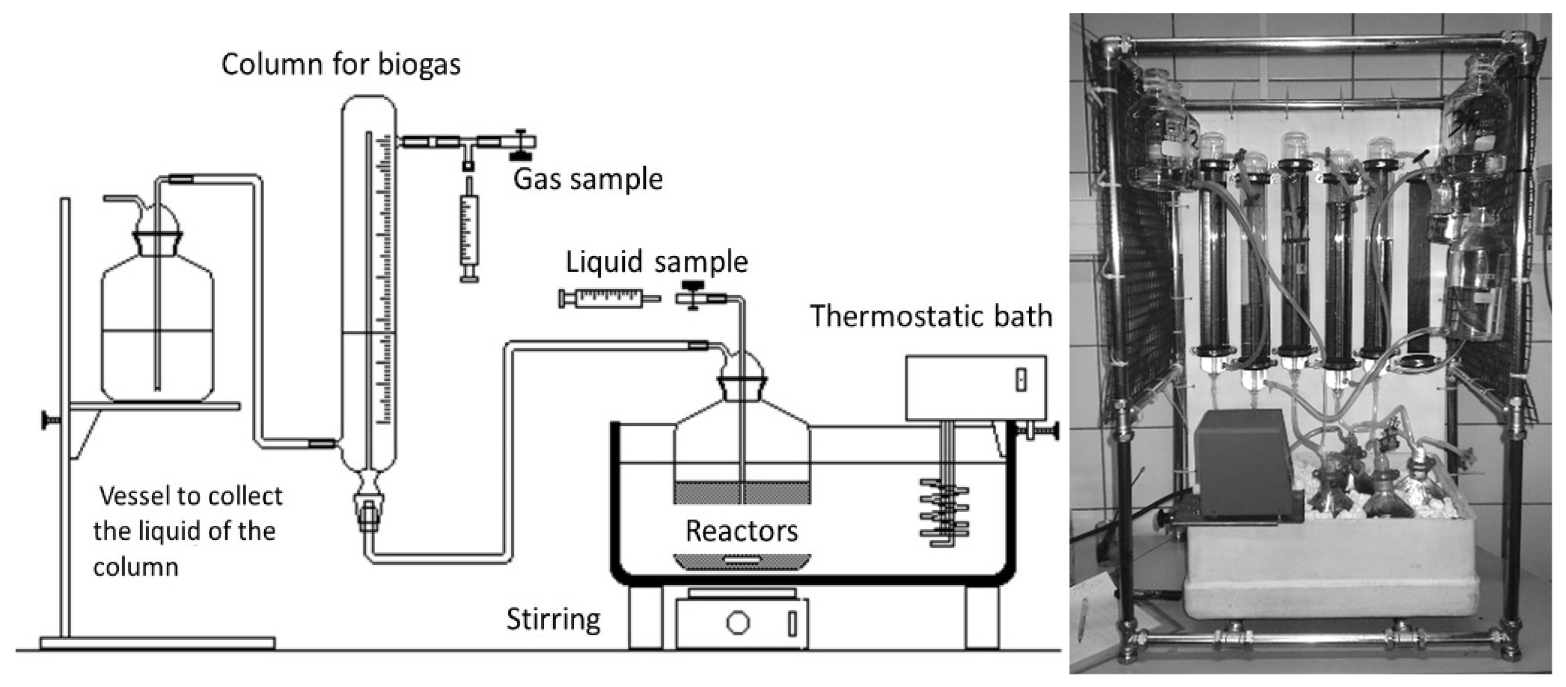 Microorganisms 11 00285 g002 550