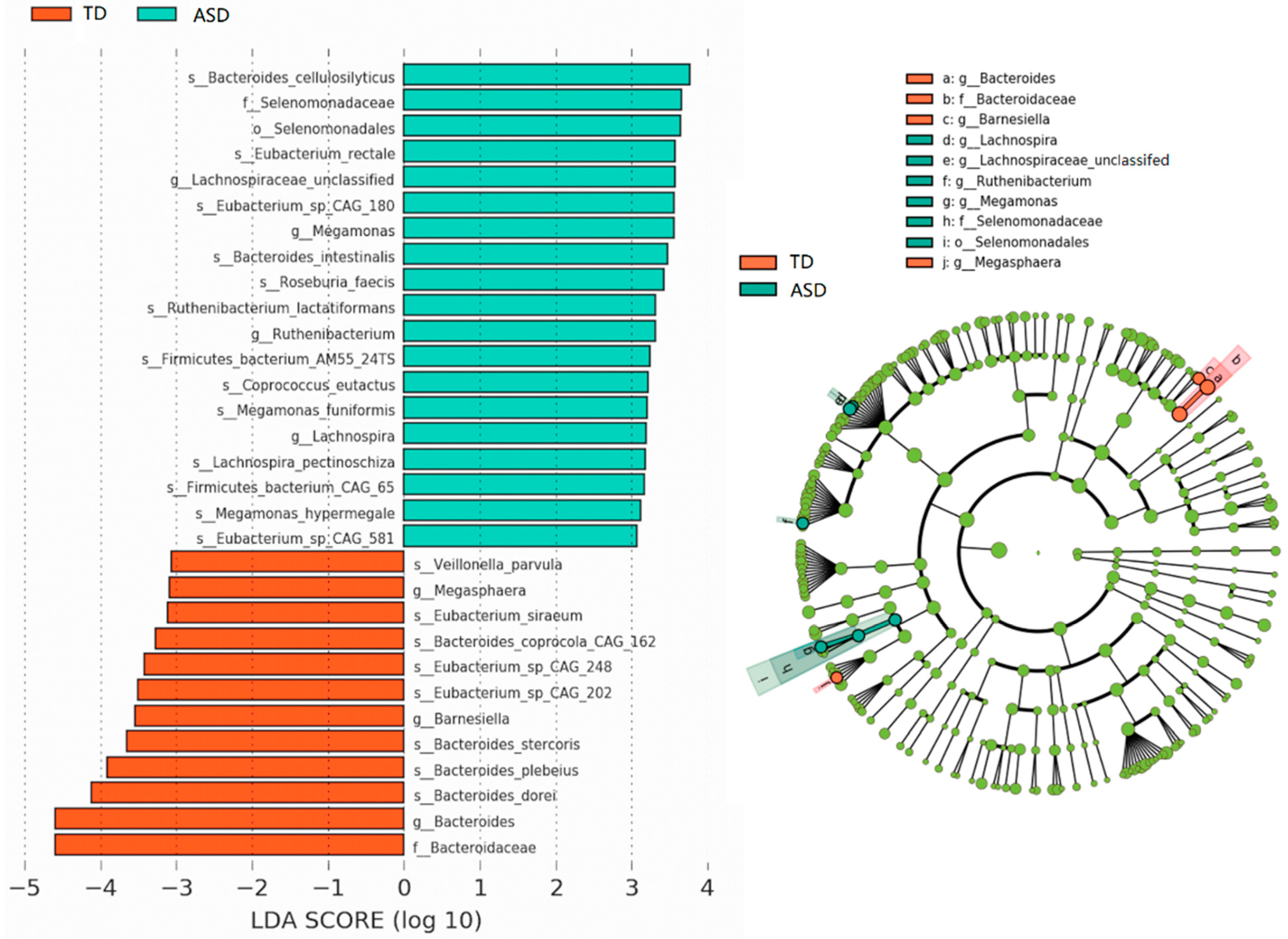 Microorganisms 11 00291 g005 Microorganisms 11 00291 g005