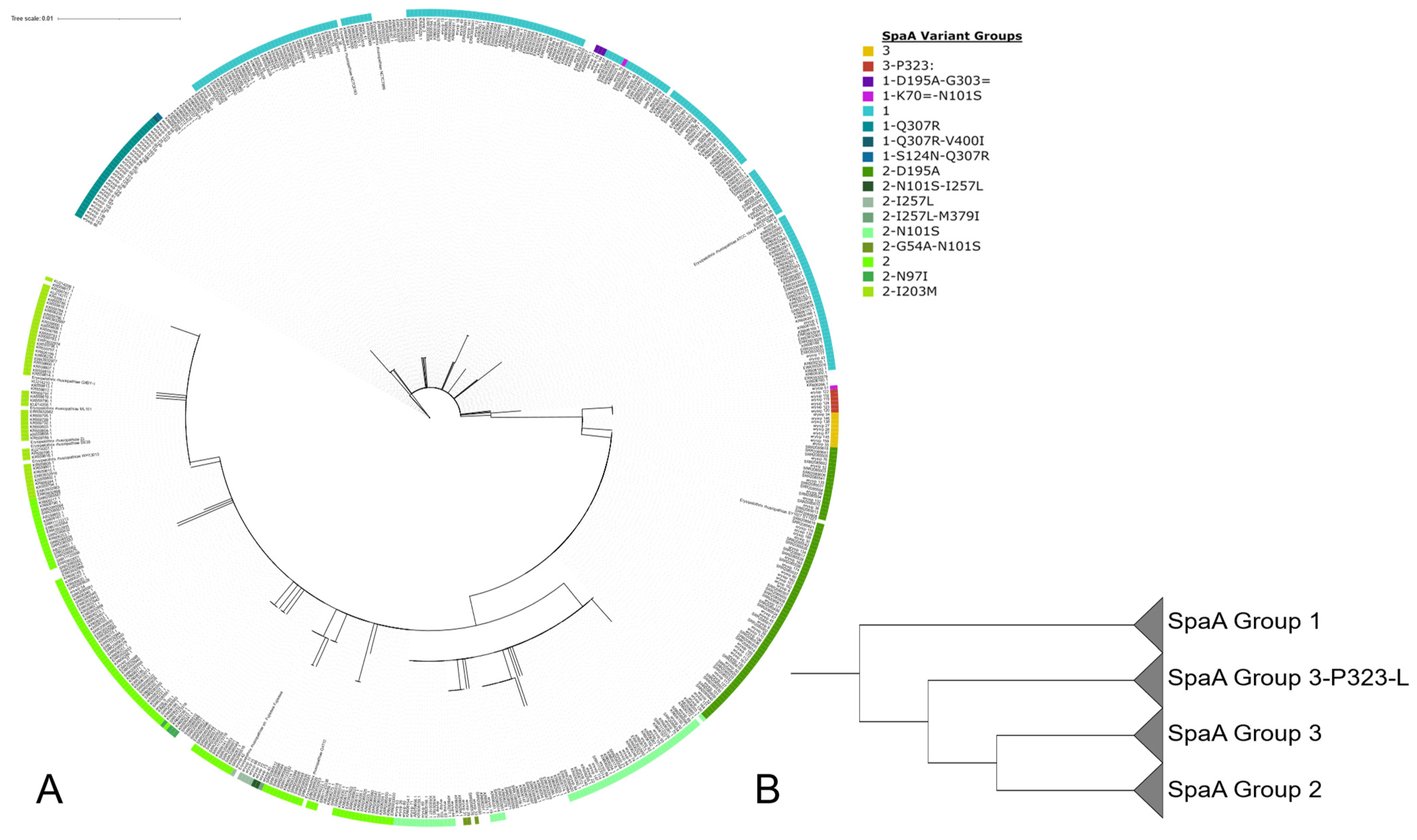 Microorganisms 11 00297 g004 Microorganisms 11 00297 g004