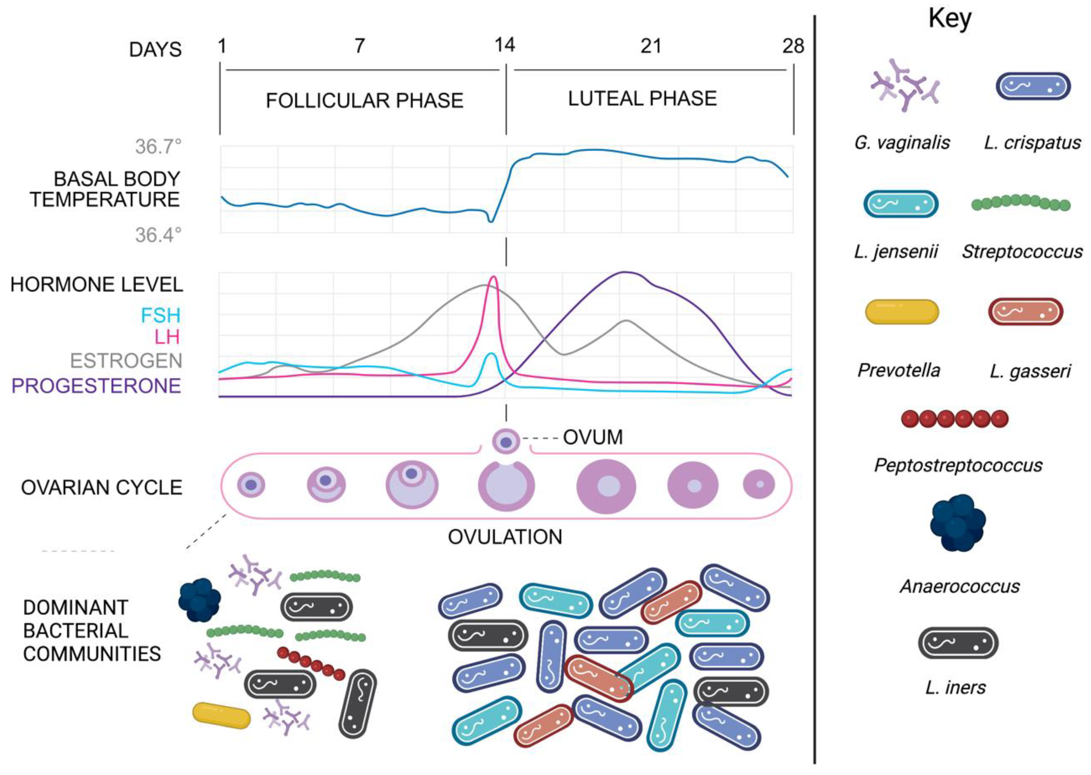 Microorganisms 11 00298 g001 Microorganisms 11 00298 g001