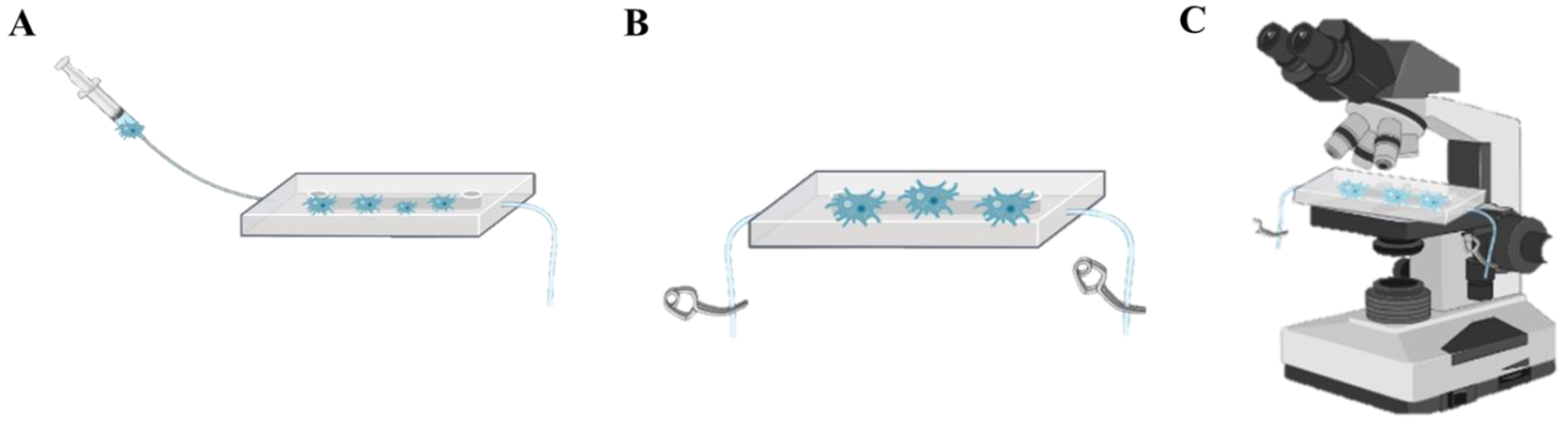 Microorganisms 11 00299 g001 Microorganisms 11 00299 g001