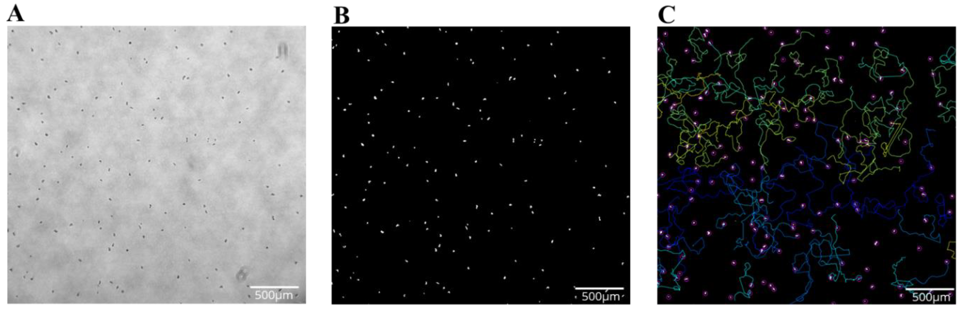 Microorganisms 11 00299 g002 Microorganisms 11 00299 g002