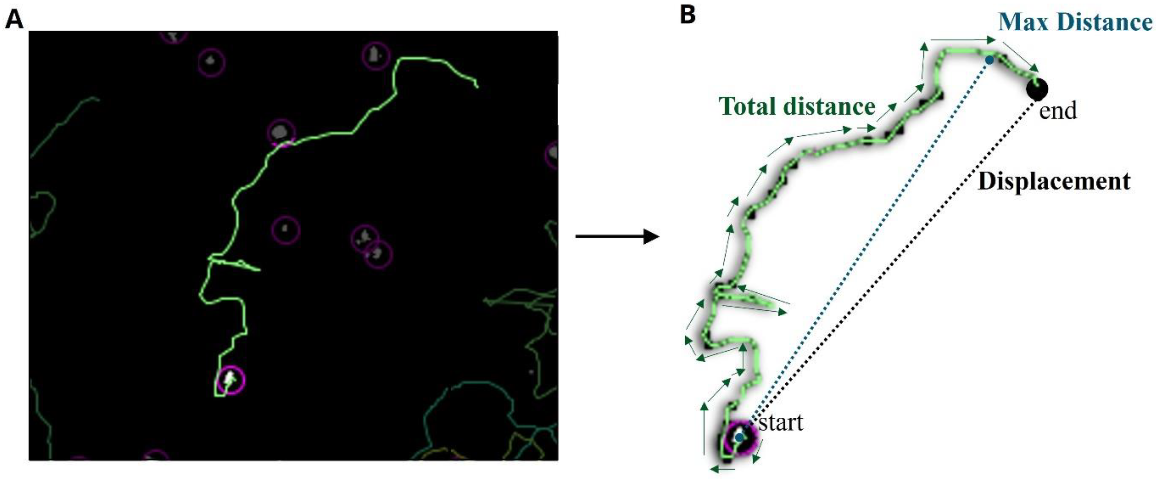 Microorganisms 11 00299 g003 Microorganisms 11 00299 g003